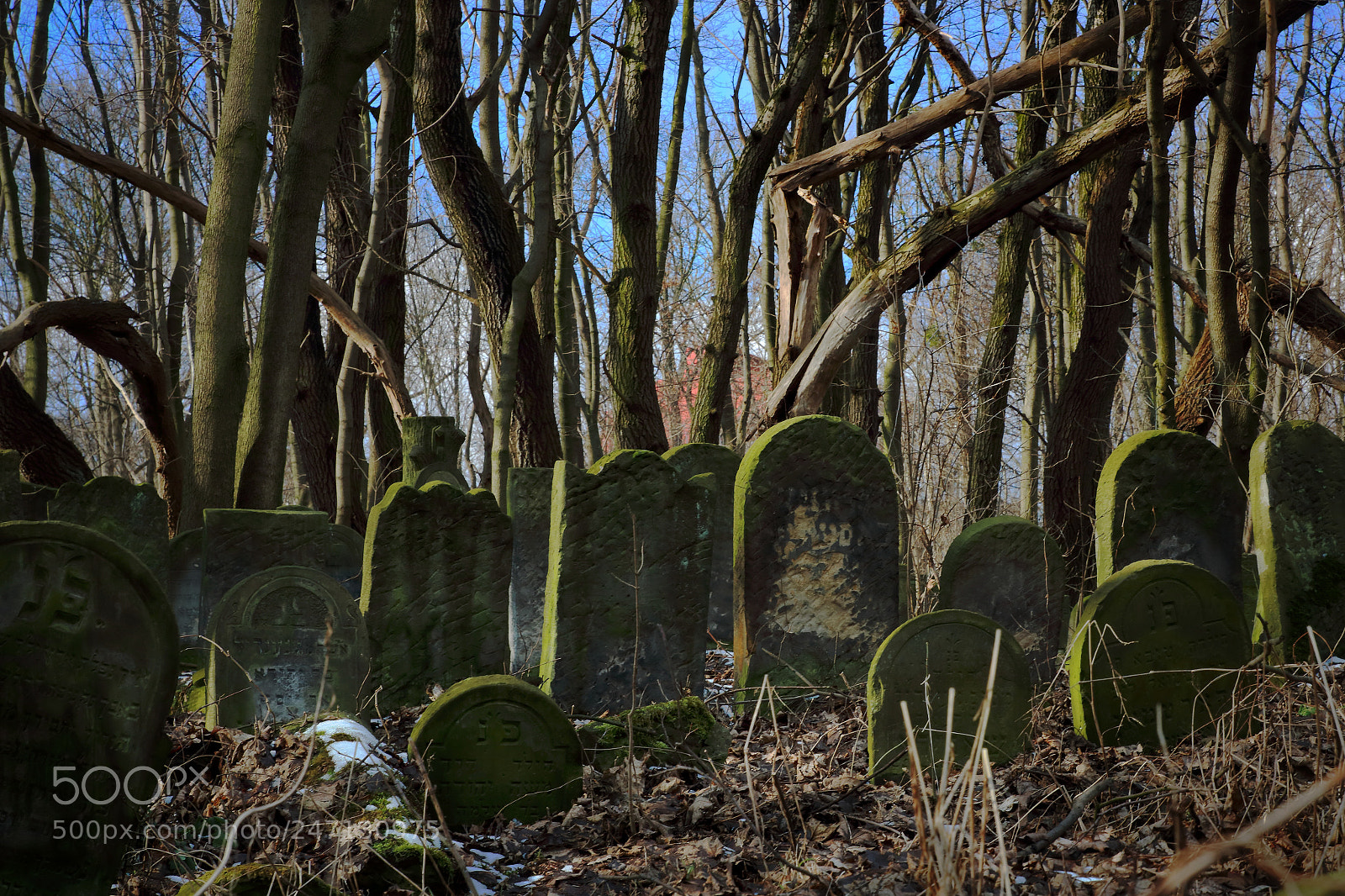 Canon EOS 760D (EOS Rebel T6s / EOS 8000D) sample photo. Jewish cementary photography