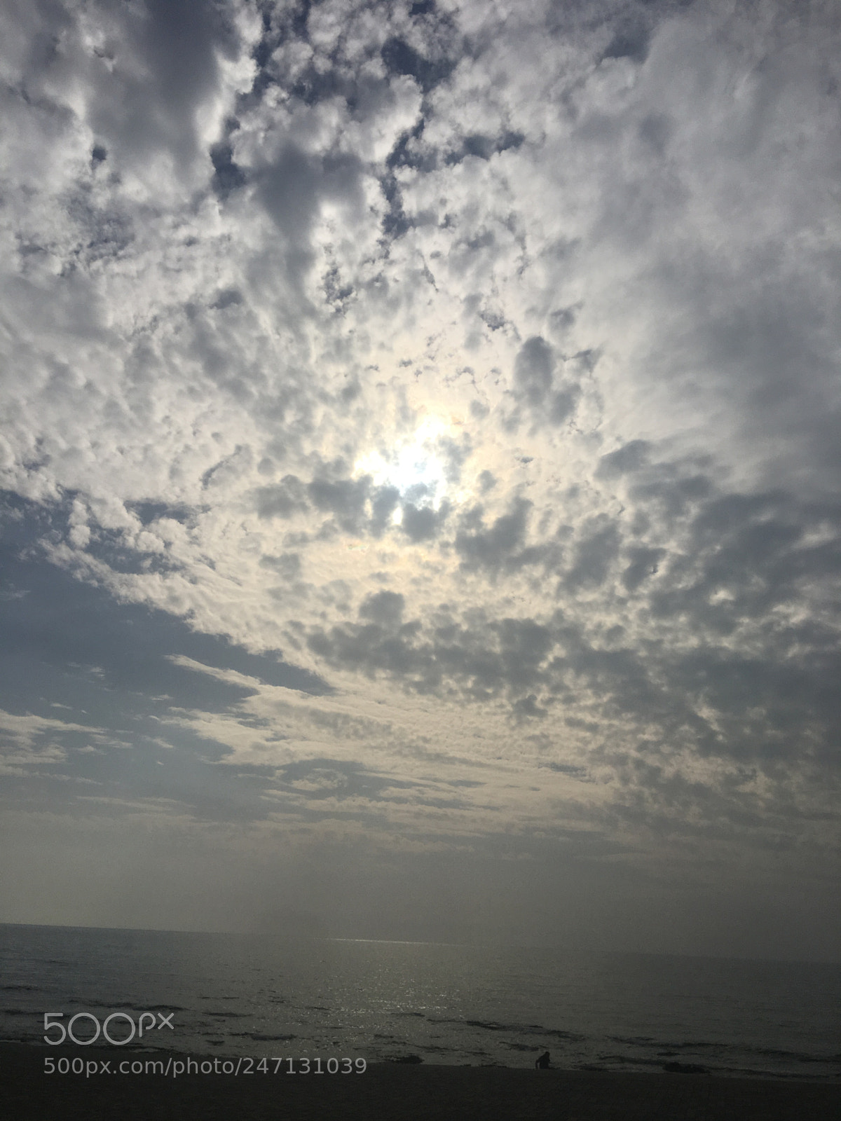 Apple iPhone 6s Plus sample photo. Untitled photography