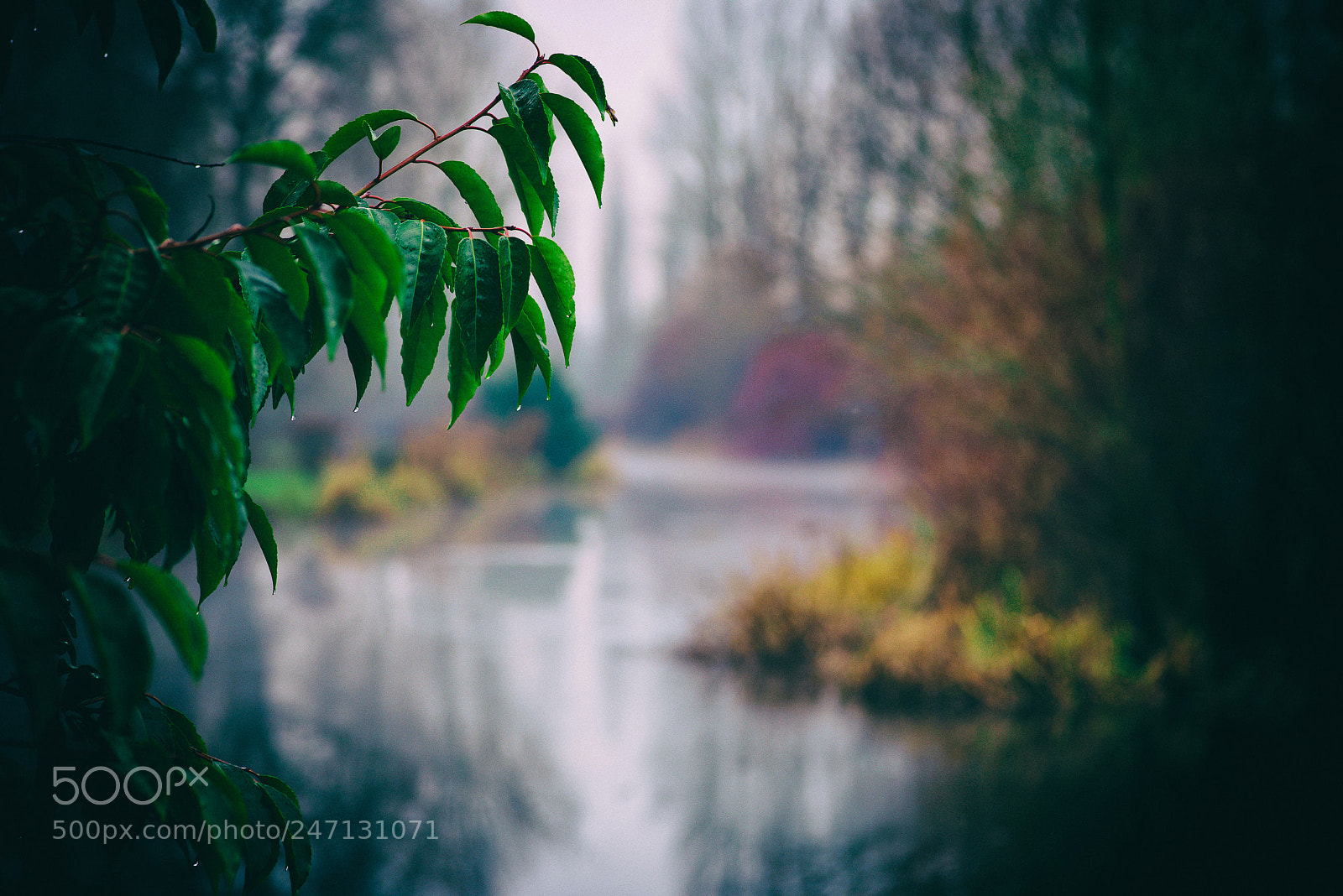 Nikon D800 sample photo. Seasonal photography