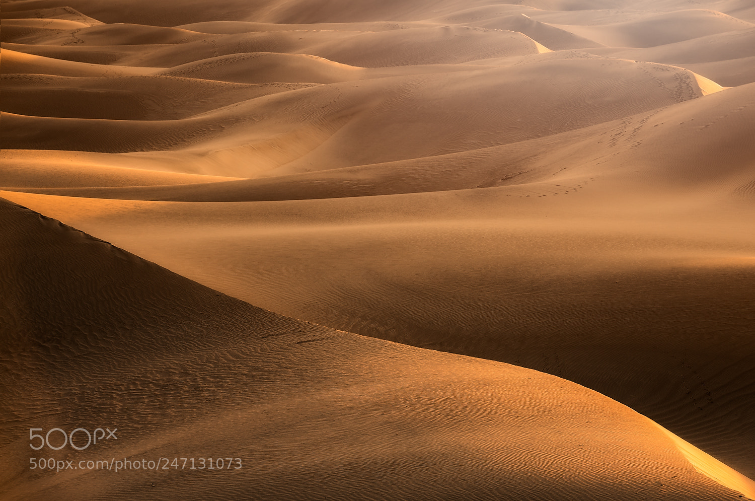 Nikon D850 sample photo. Death valley national park. photography