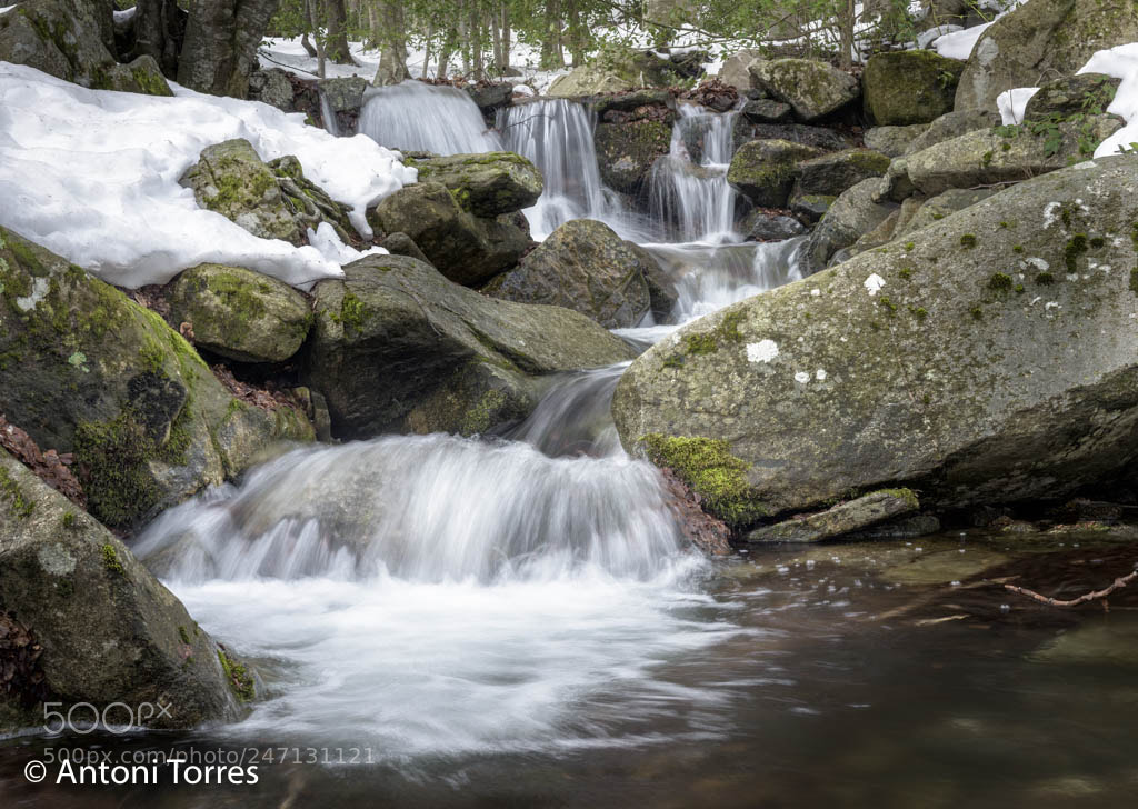 Nikon D810 sample photo. L'aigua a la riera photography