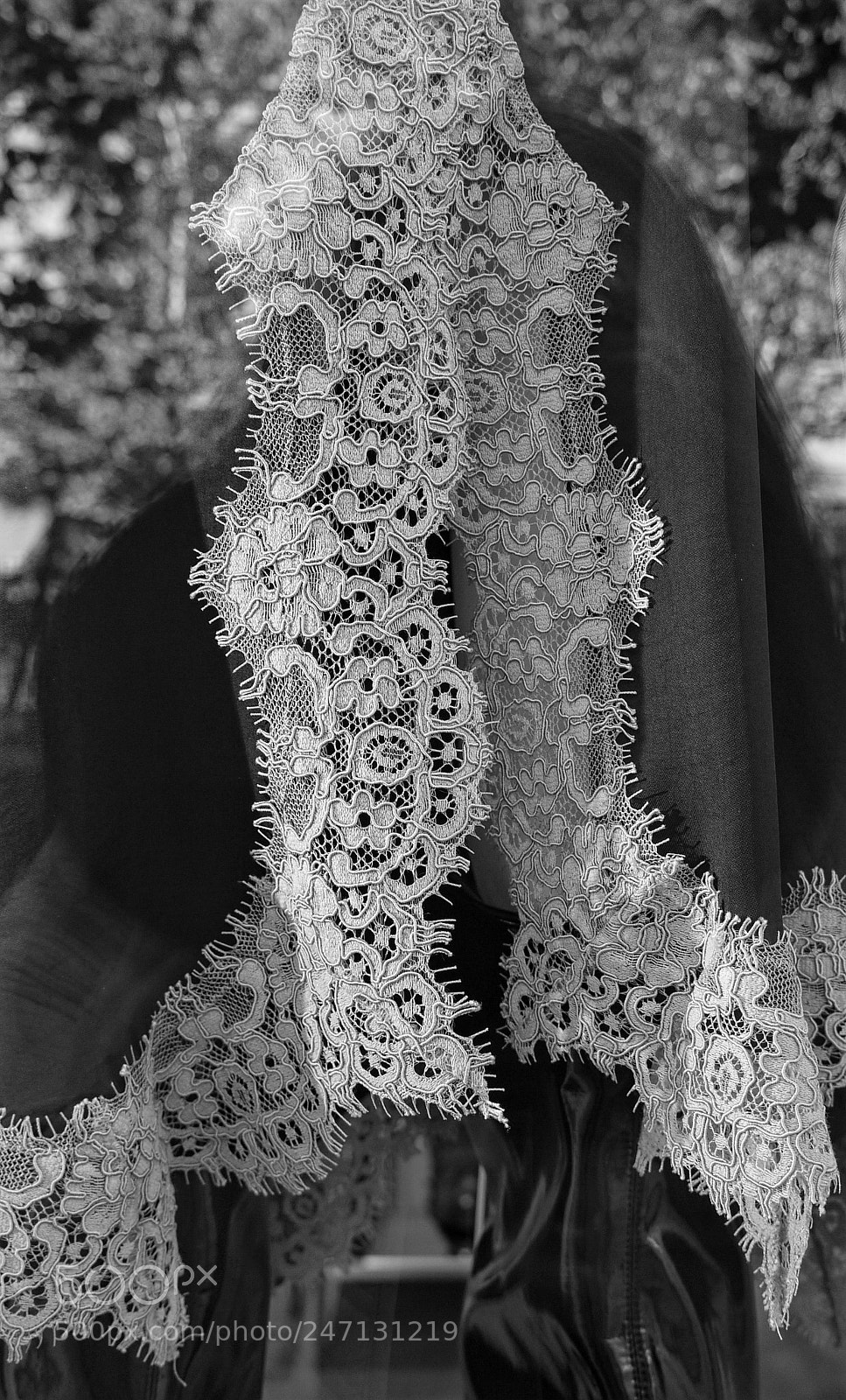 Panasonic Lumix DMC-G1 sample photo. Lace photography