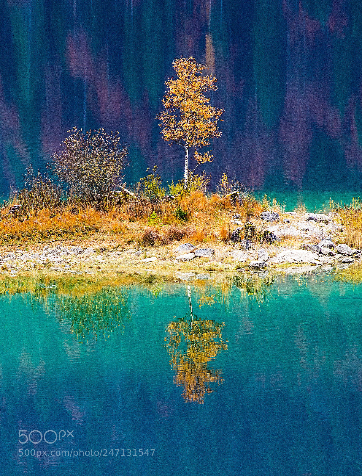 Nikon D3100 sample photo. Funny reflections photography