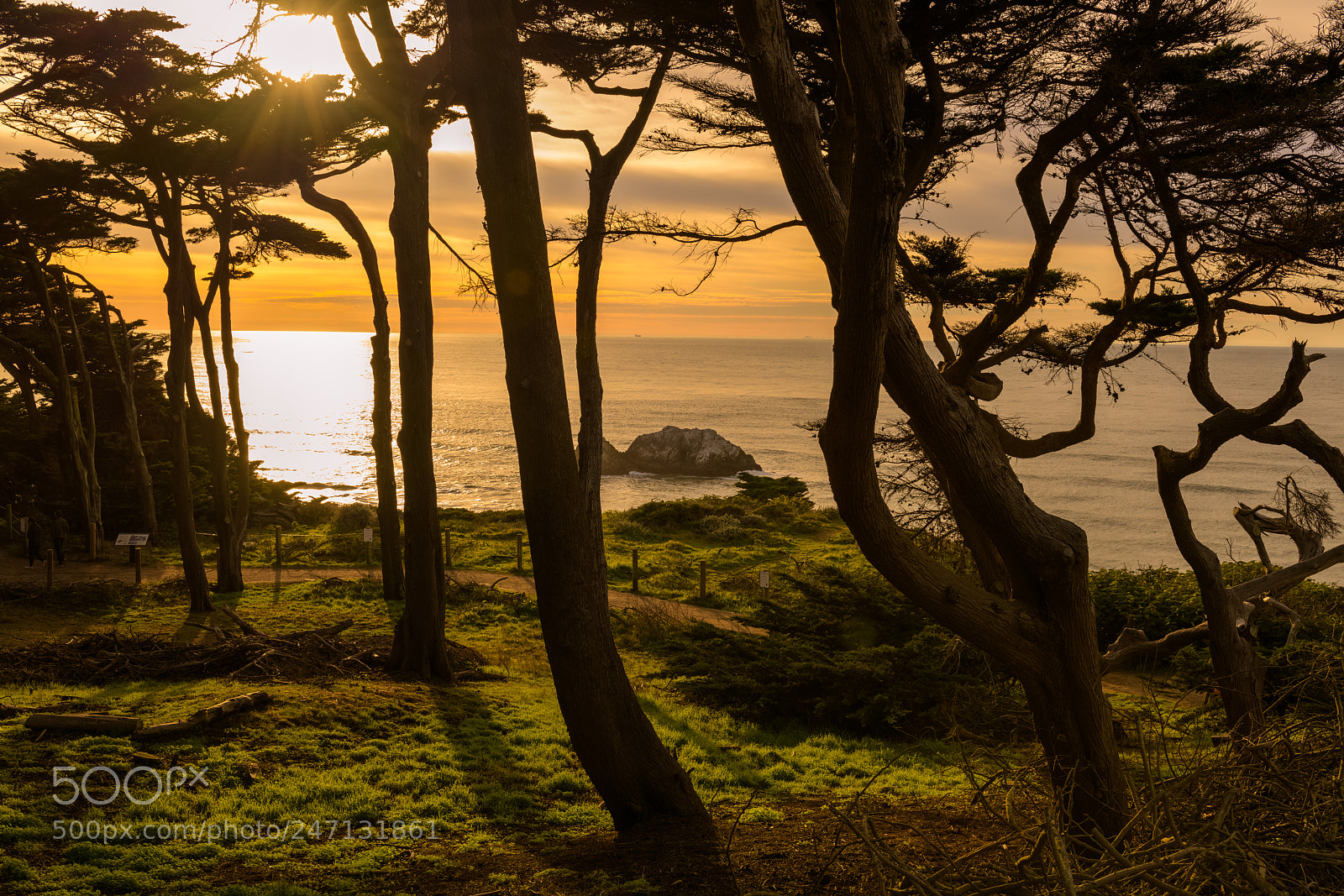 Nikon D850 sample photo. Sundawn photography