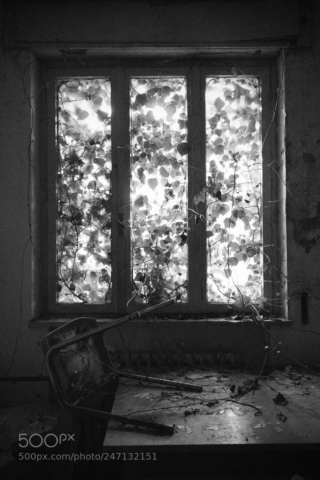 Canon EOS 750D (EOS Rebel T6i / EOS Kiss X8i) sample photo. Abandoned military area photography