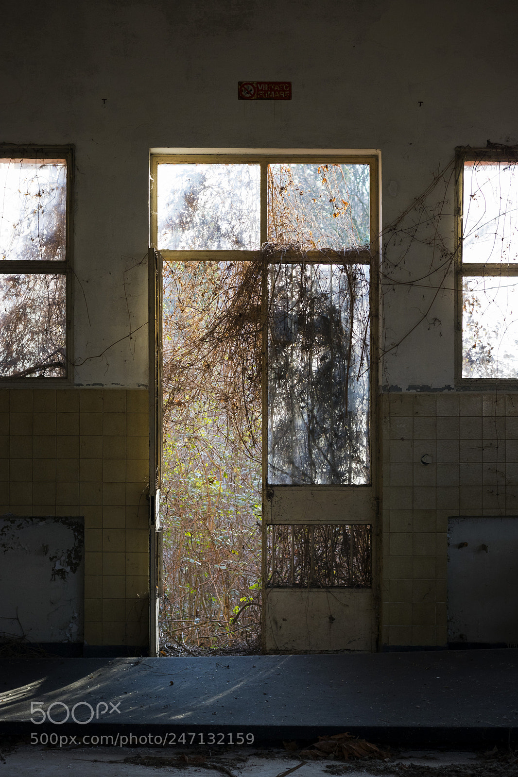 Canon EOS 750D (EOS Rebel T6i / EOS Kiss X8i) sample photo. Abandoned military area photography