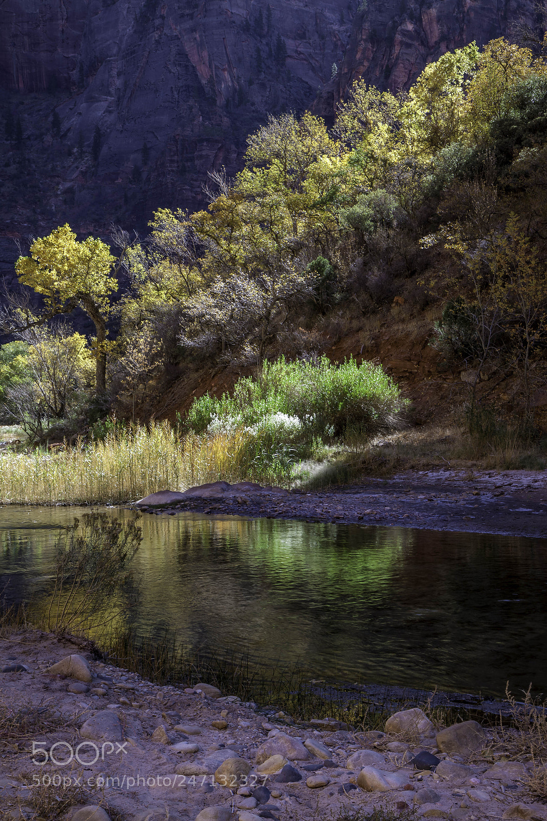 Canon EOS 50D sample photo. Reflections in the virgin photography