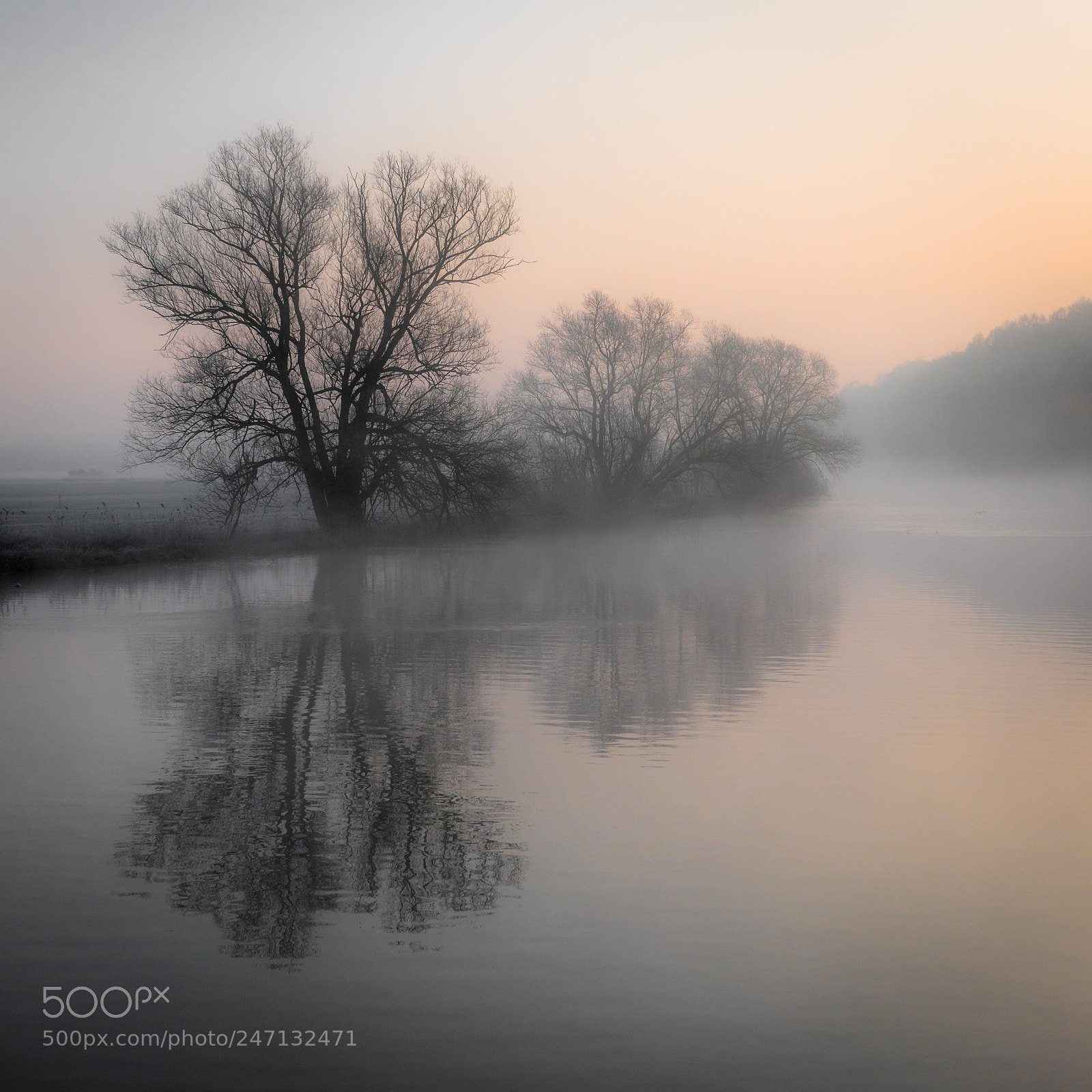 Nikon D810 sample photo. Fog in the morning photography