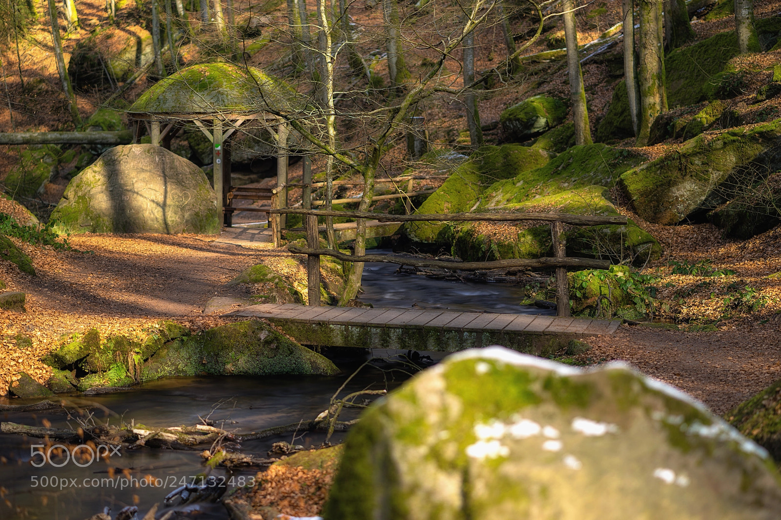 Sony a7 sample photo. Kalter wintertag in der photography