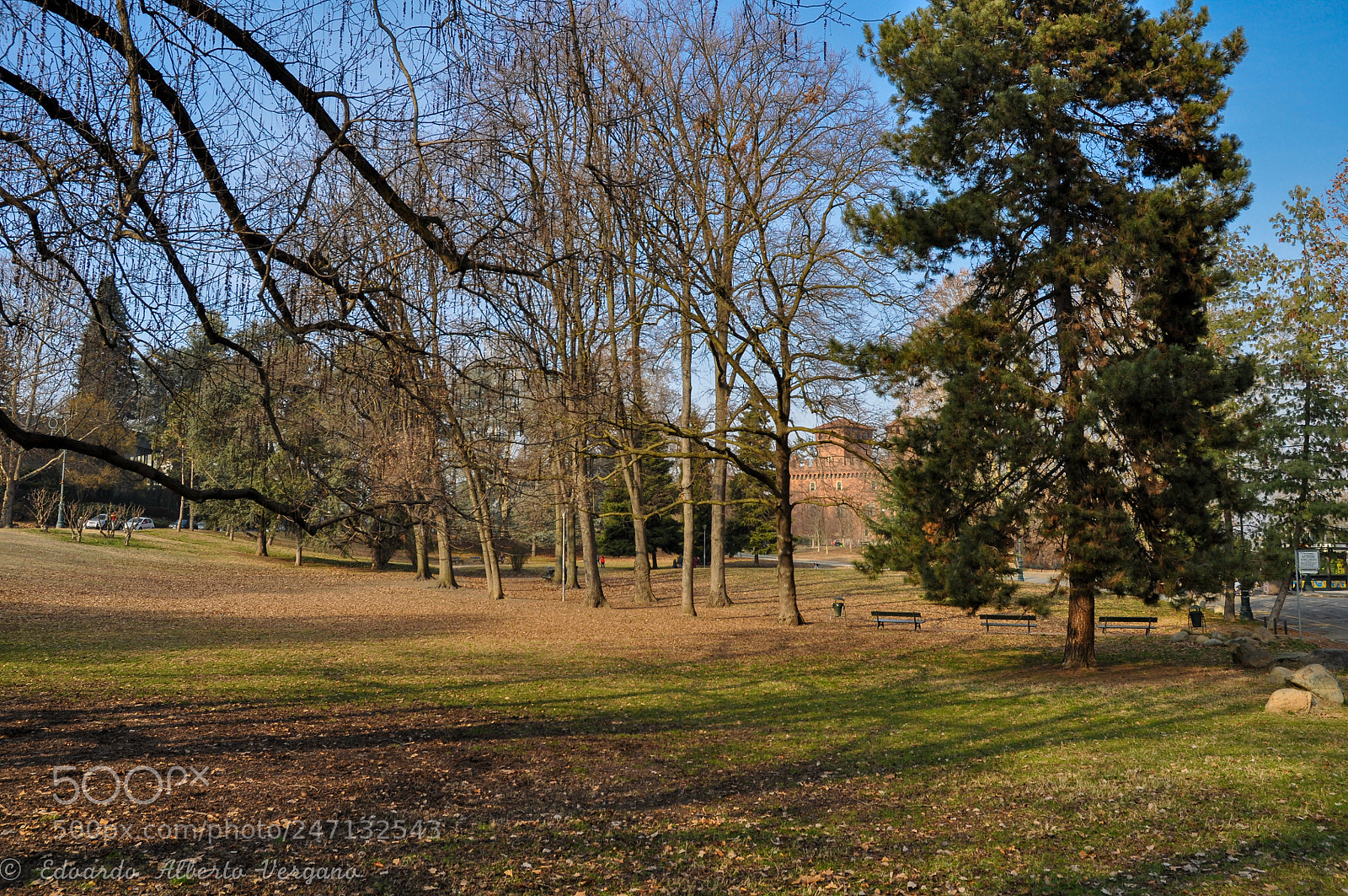 Nikon D5000 sample photo. Walk in the park (4) photography