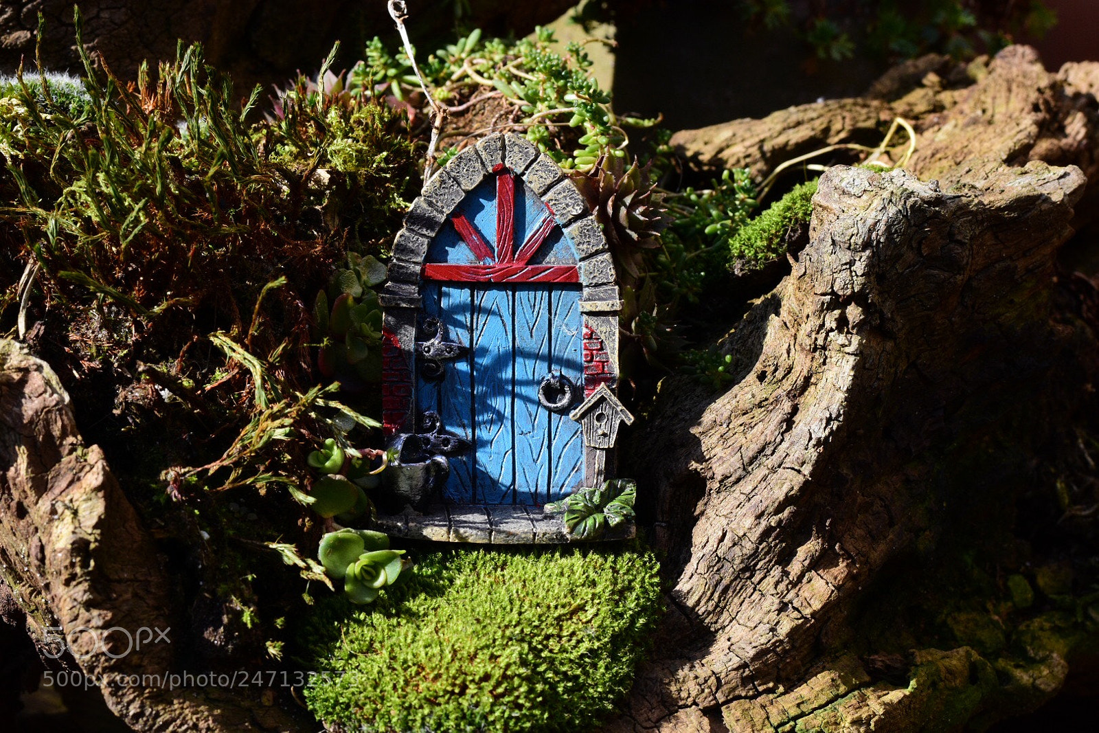 Nikon D7200 sample photo. Door from elves photography