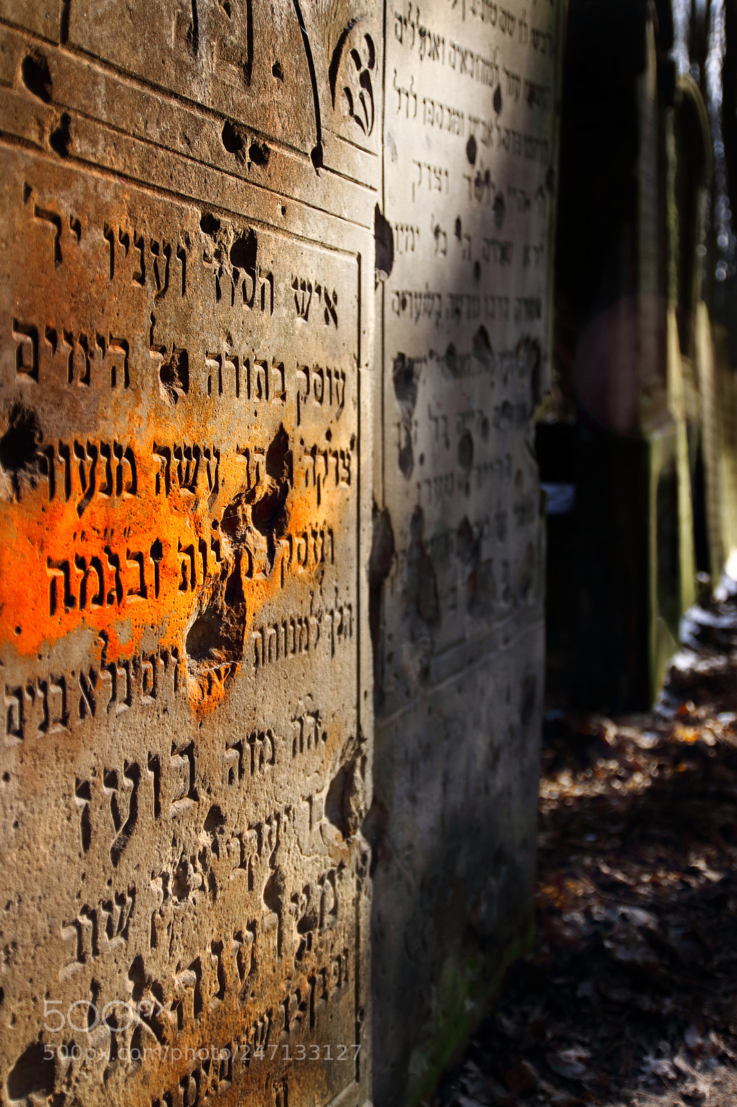 Canon EOS 760D (EOS Rebel T6s / EOS 8000D) sample photo. Jewish cementary photography