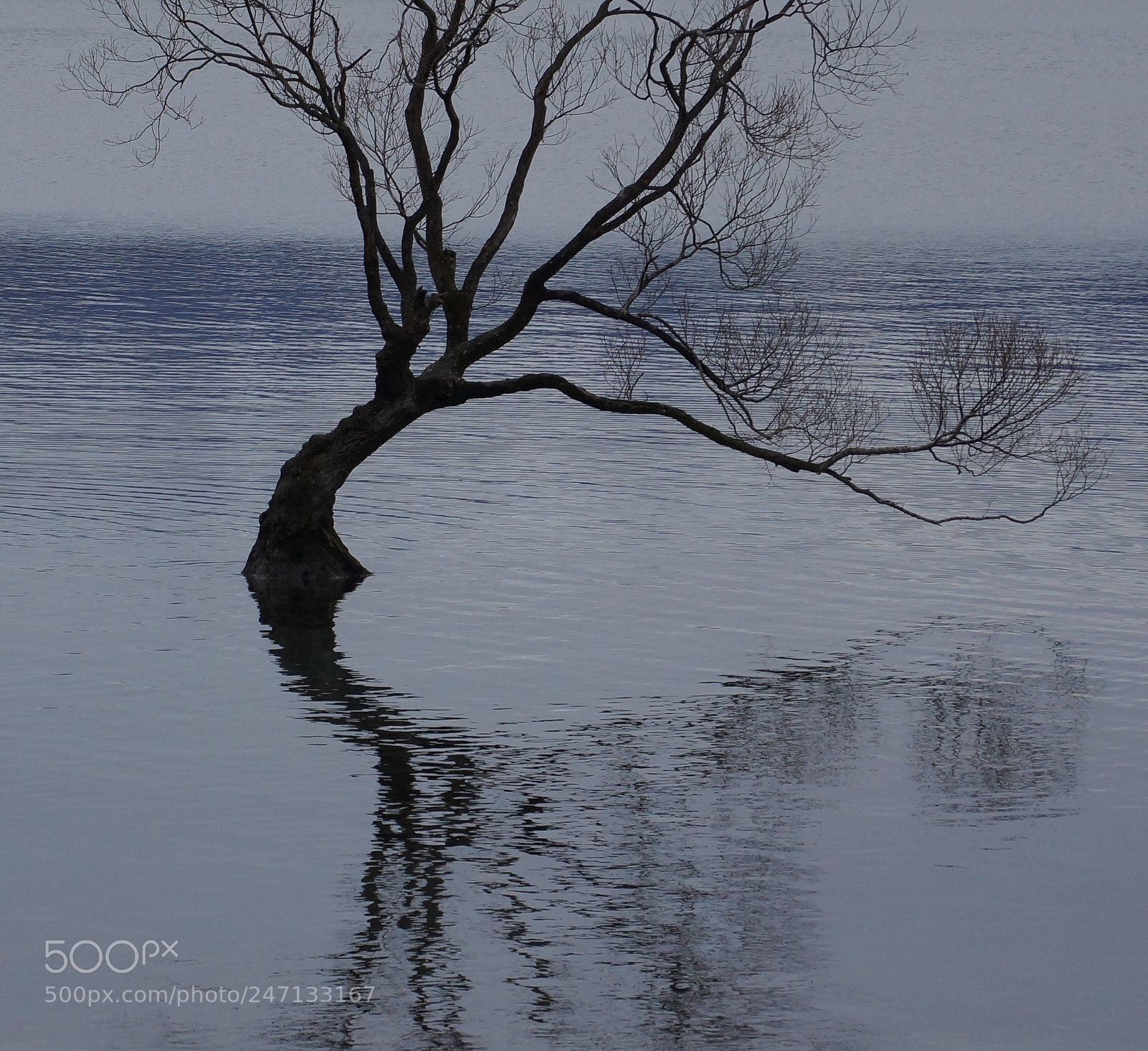 Sony SLT-A77 sample photo. Wanaka photography