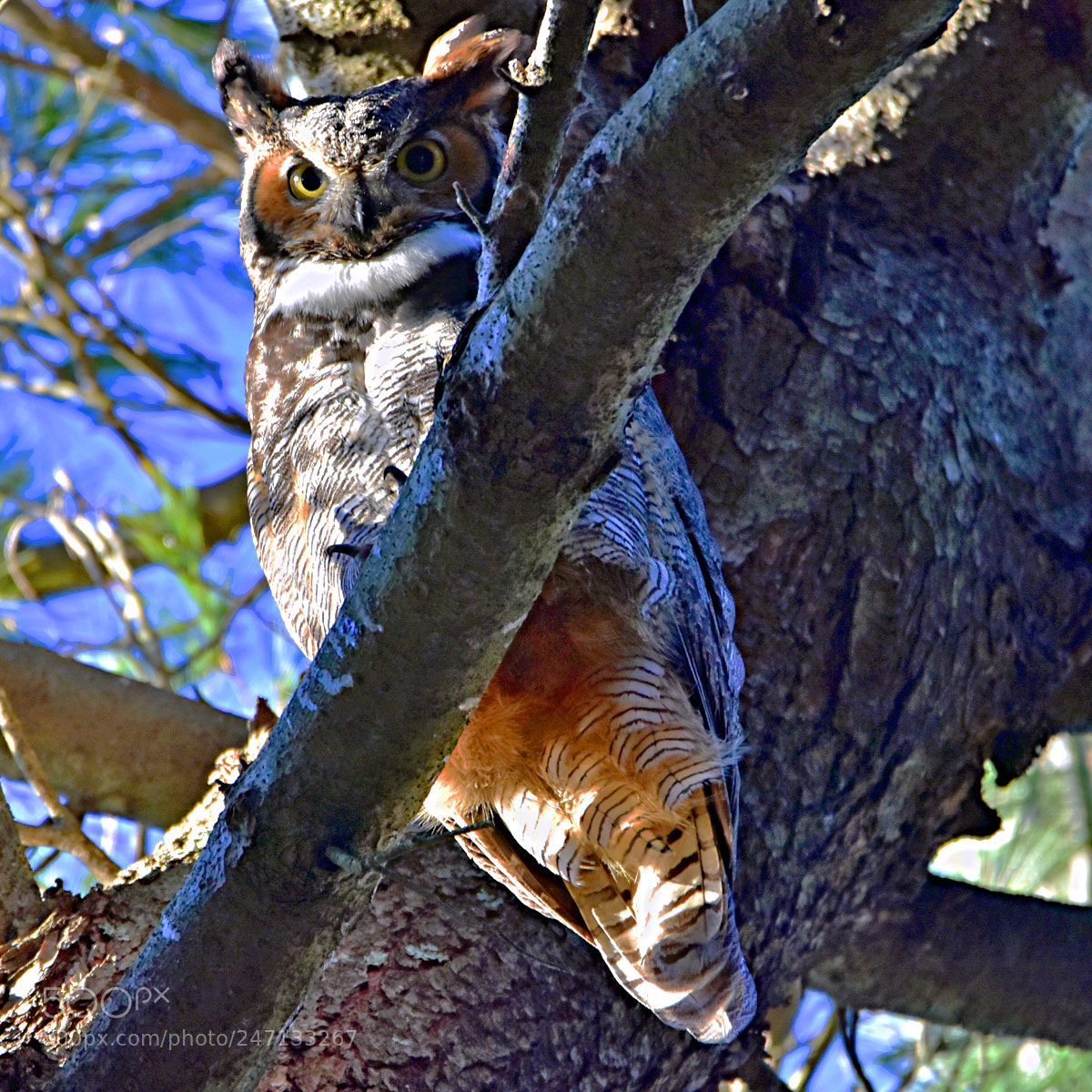 Nikon D7200 sample photo. Dsc photography