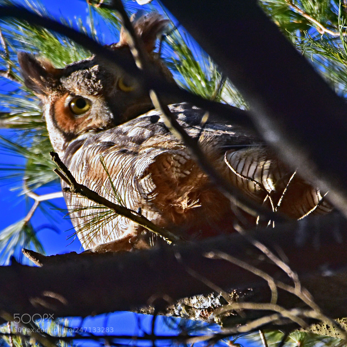 Nikon D7200 sample photo. Dsc photography