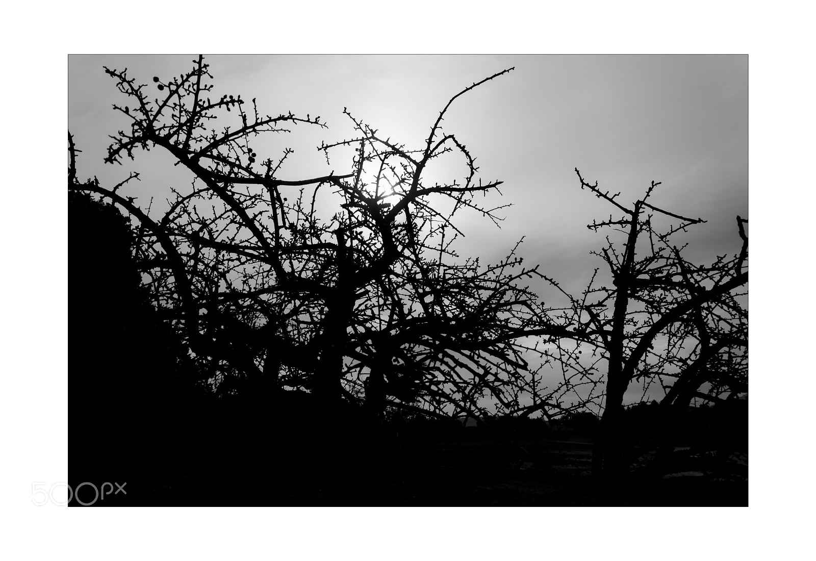 Nikon D3200 sample photo. Untitled photography