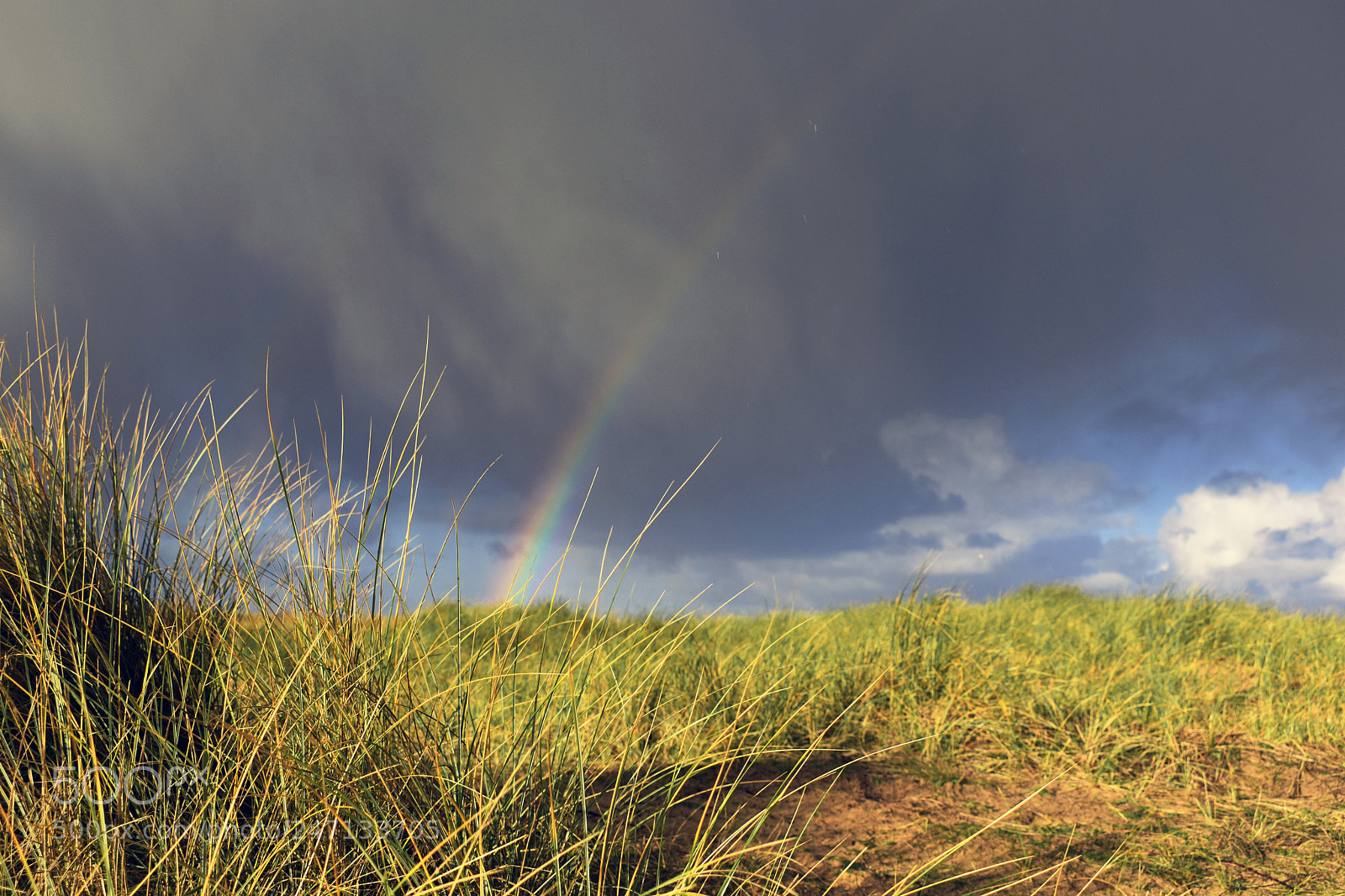 Nikon D3400 sample photo. L'arc en ciel photography