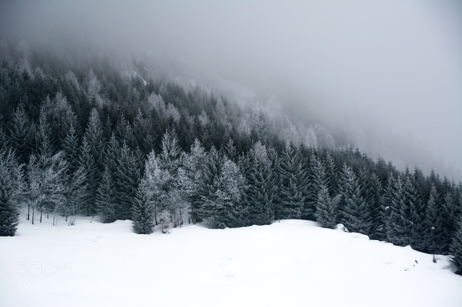 Nikon D7100 sample photo. Curaglia photography