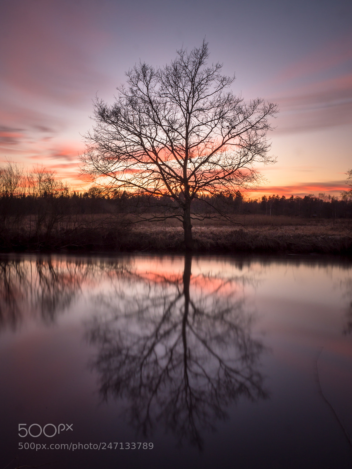 Panasonic Lumix DMC-GH3 sample photo. Beautiful reflection photography
