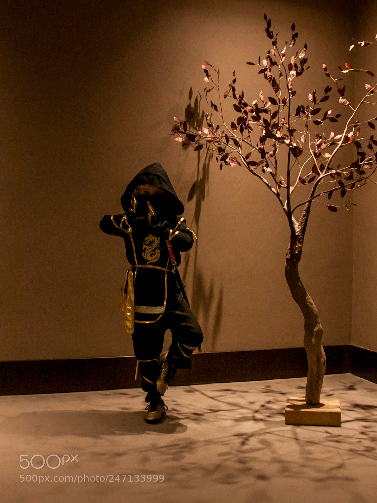 Canon EOS 50D sample photo. Img photography