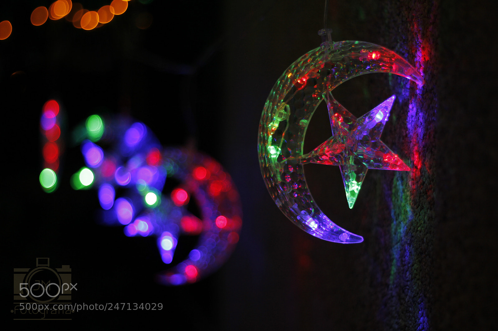 Canon EOS 60D sample photo. Mg photography