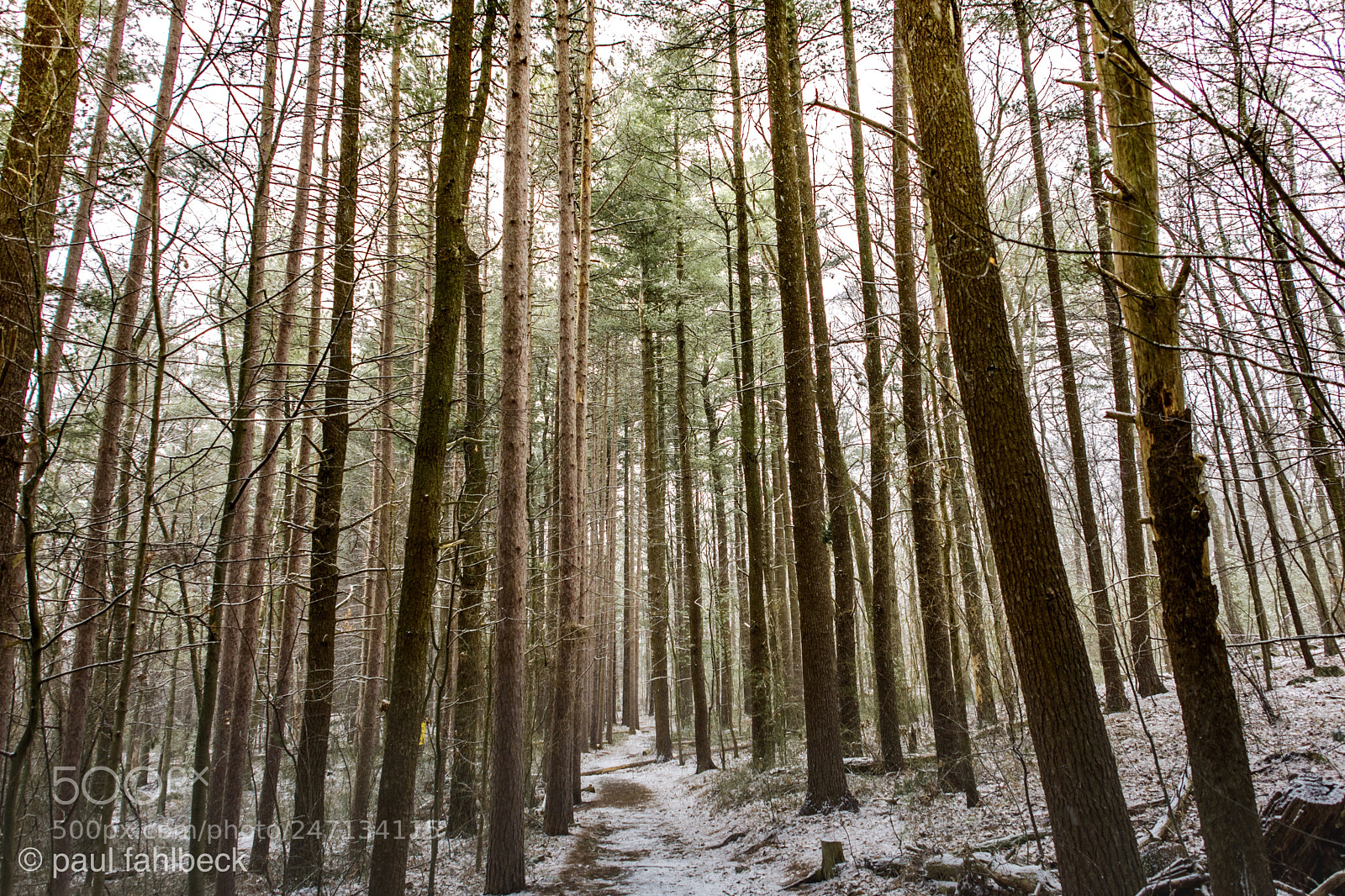Nikon D7200 sample photo. Barren photography