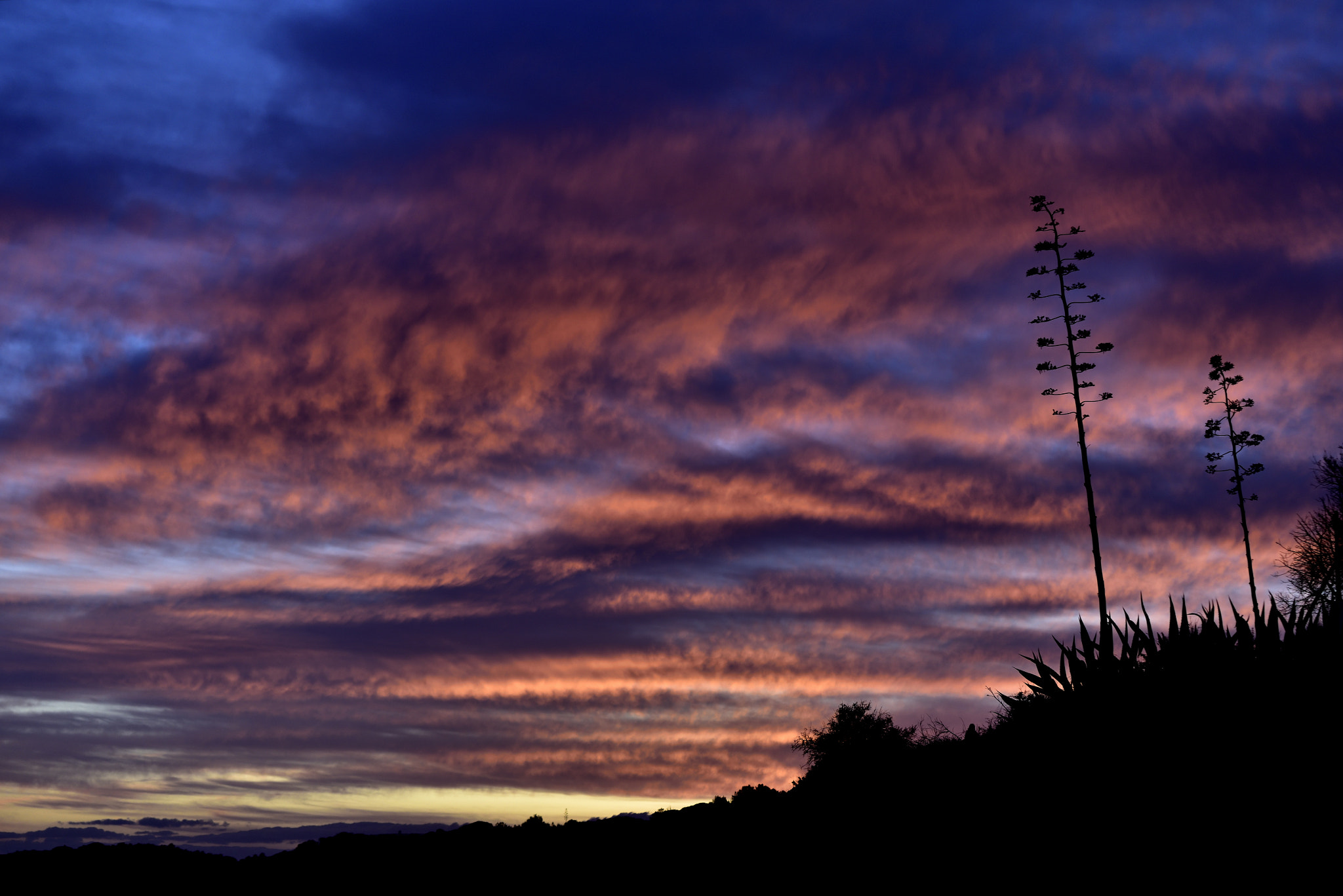 Nikon D810 + Nikon AF-S Nikkor 70-200mm F4G ED VR sample photo. Por do sol praia do vau (potimão) () photography