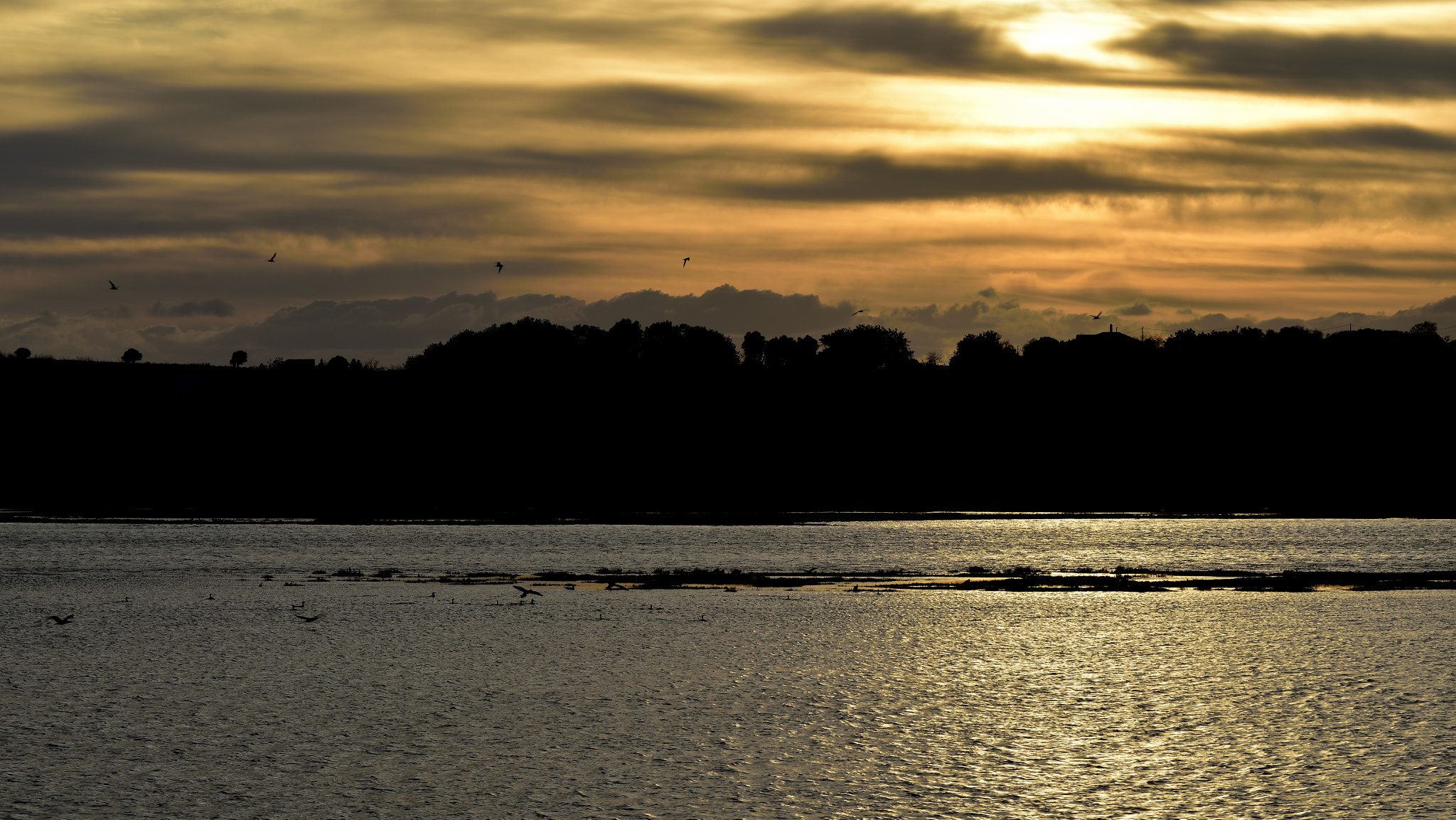 Nikon D810 + Nikon AF-S Nikkor 70-200mm F4G ED VR sample photo. Por do sol ria de alvor () photography