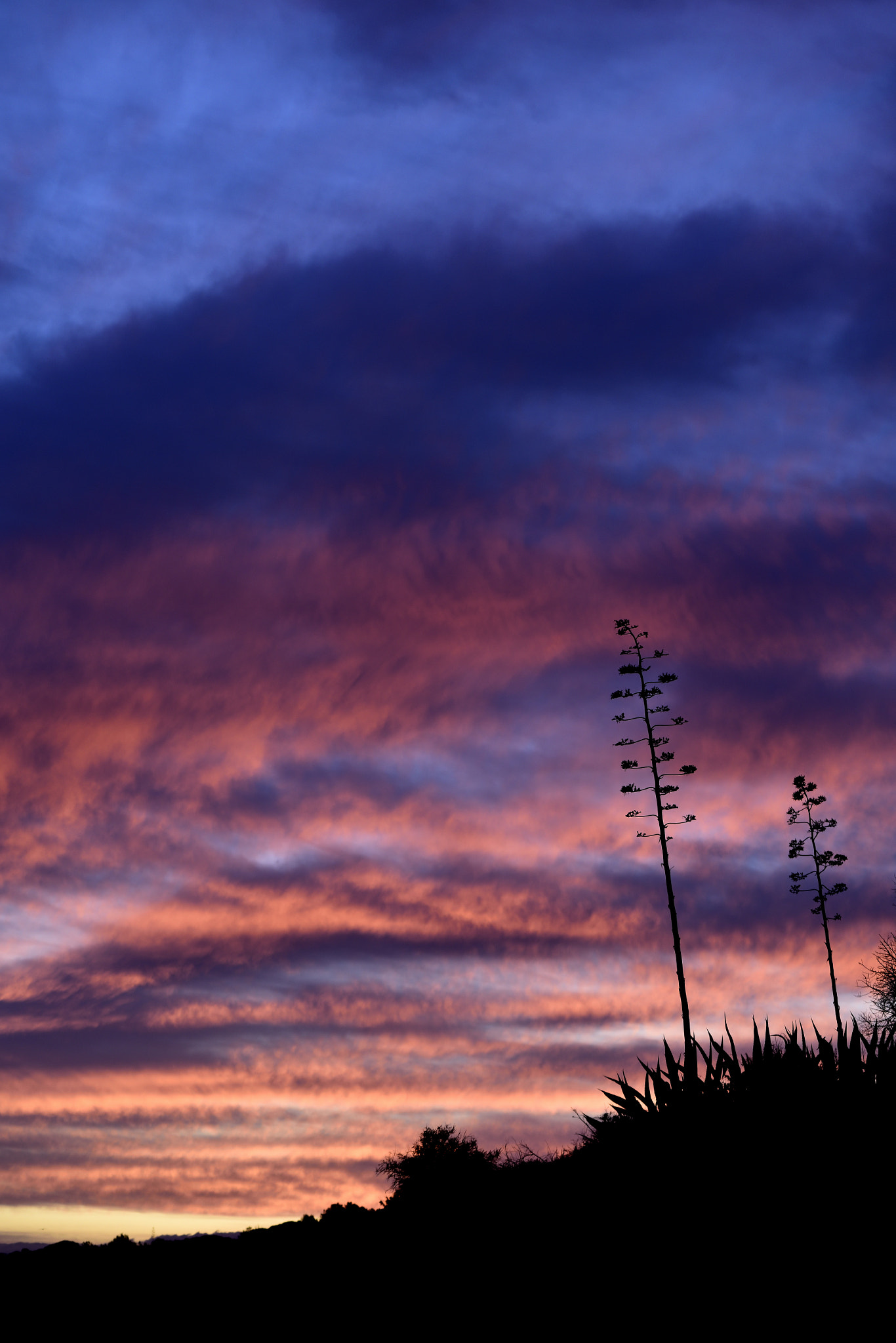 Nikon D810 + Nikon AF-S Nikkor 70-200mm F4G ED VR sample photo. Por do sol praia do vau (potimão) () photography