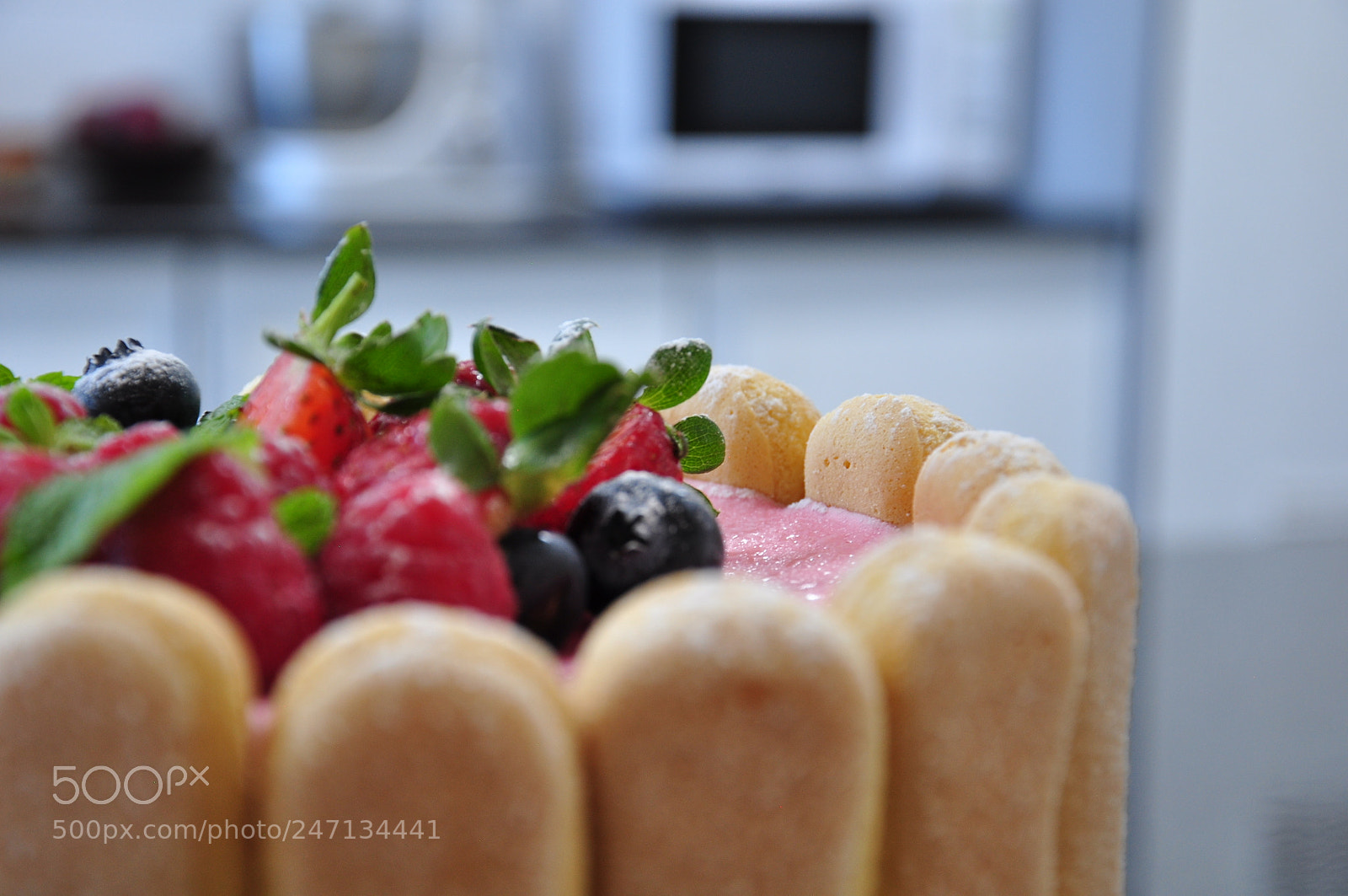 Nikon D90 sample photo. Charlotte mousse dessert photography