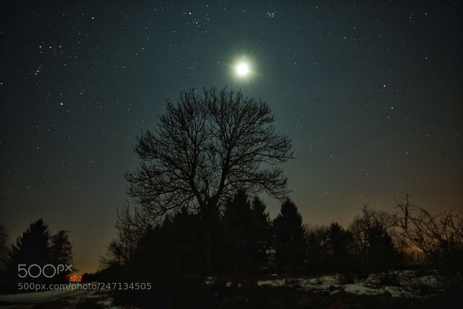 Sony a7R sample photo. Winternacht im nationalpark eifel photography