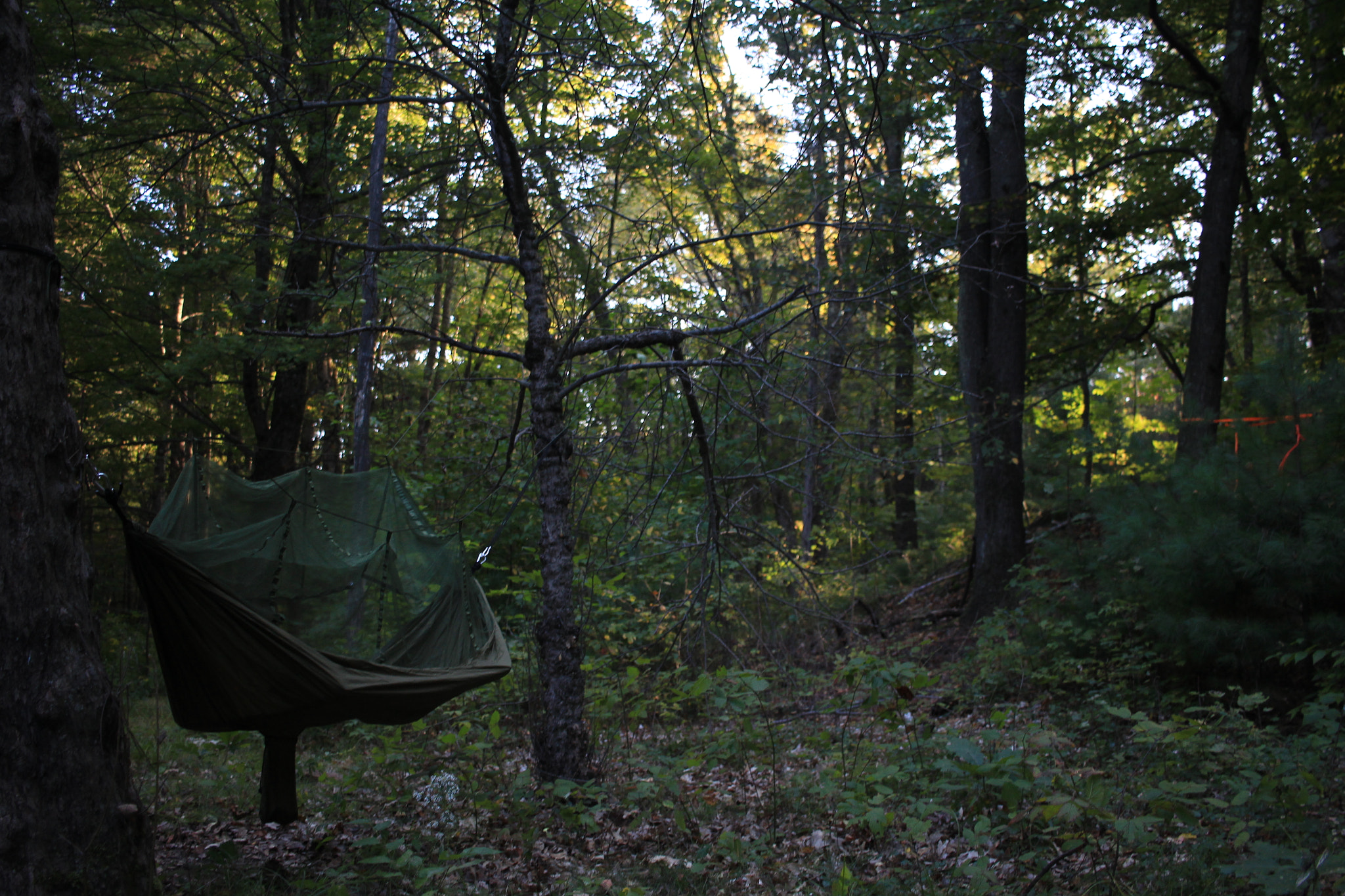 Canon EF-S 24mm F2.8 STM sample photo. Hammock photography
