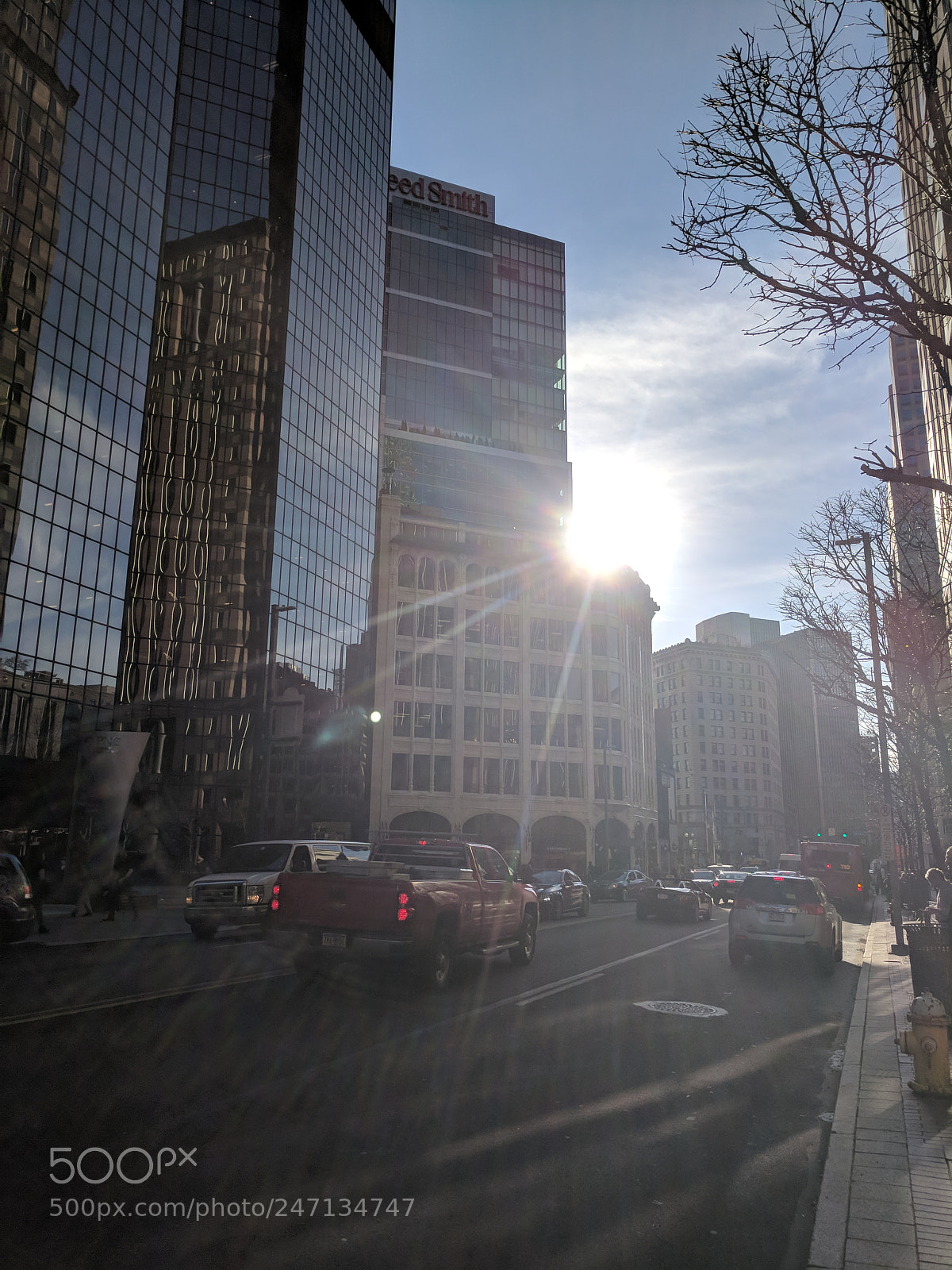Google Pixel XL sample photo. Untitled photography