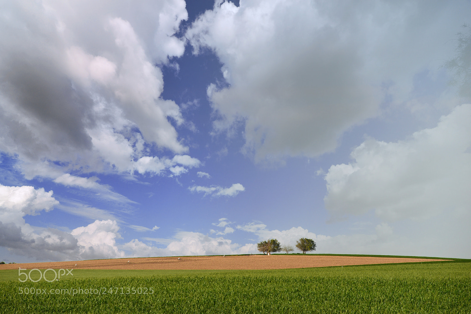 Nikon D610 sample photo. Приближение весны.. photography