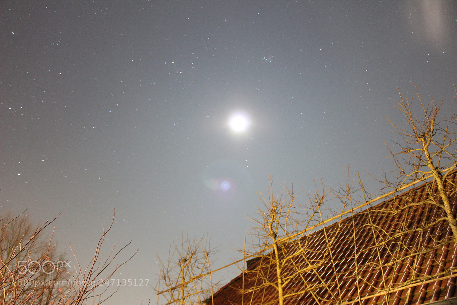 Canon EF-S 18-55mm F3.5-5.6 III sample photo. Untitled photography