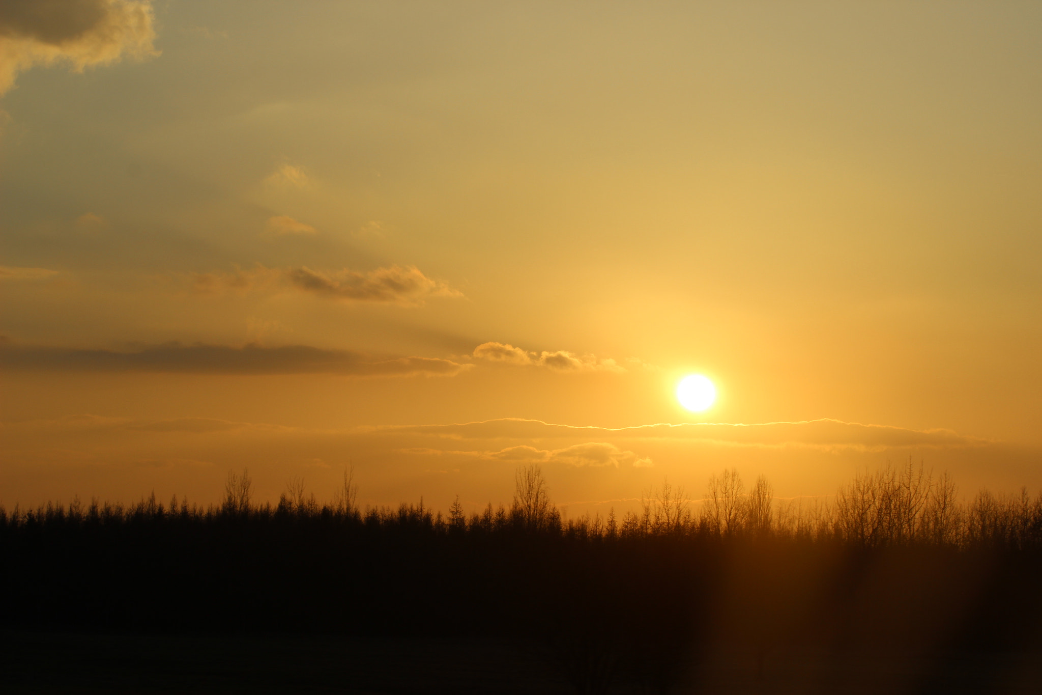 Canon EOS 600D (Rebel EOS T3i / EOS Kiss X5) sample photo. Sundown photography