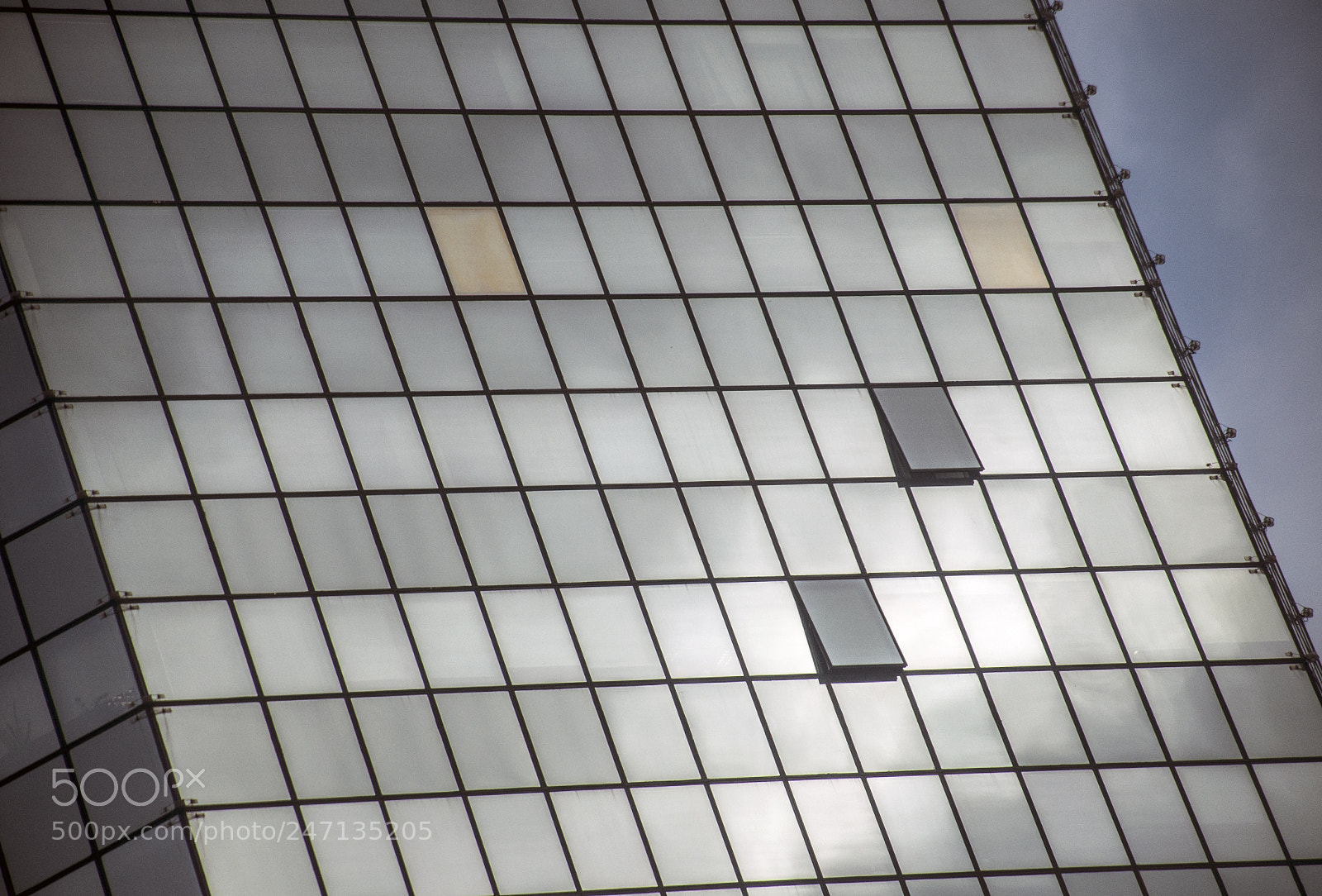 Nikon D90 sample photo. Blue photography