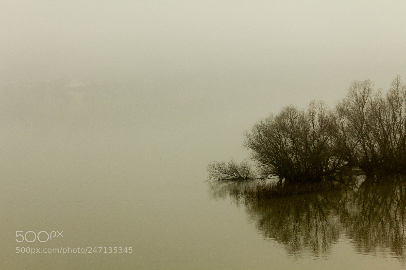 Canon EOS 550D (EOS Rebel T2i / EOS Kiss X4) sample photo. Danube river photography