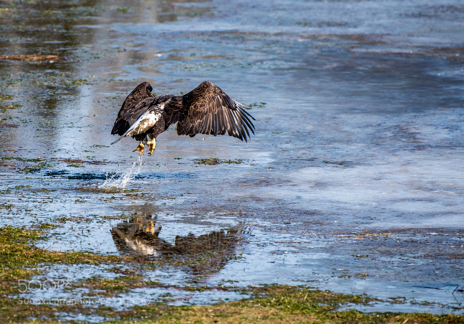 Nikon D810 sample photo. Take-off reflection... photography