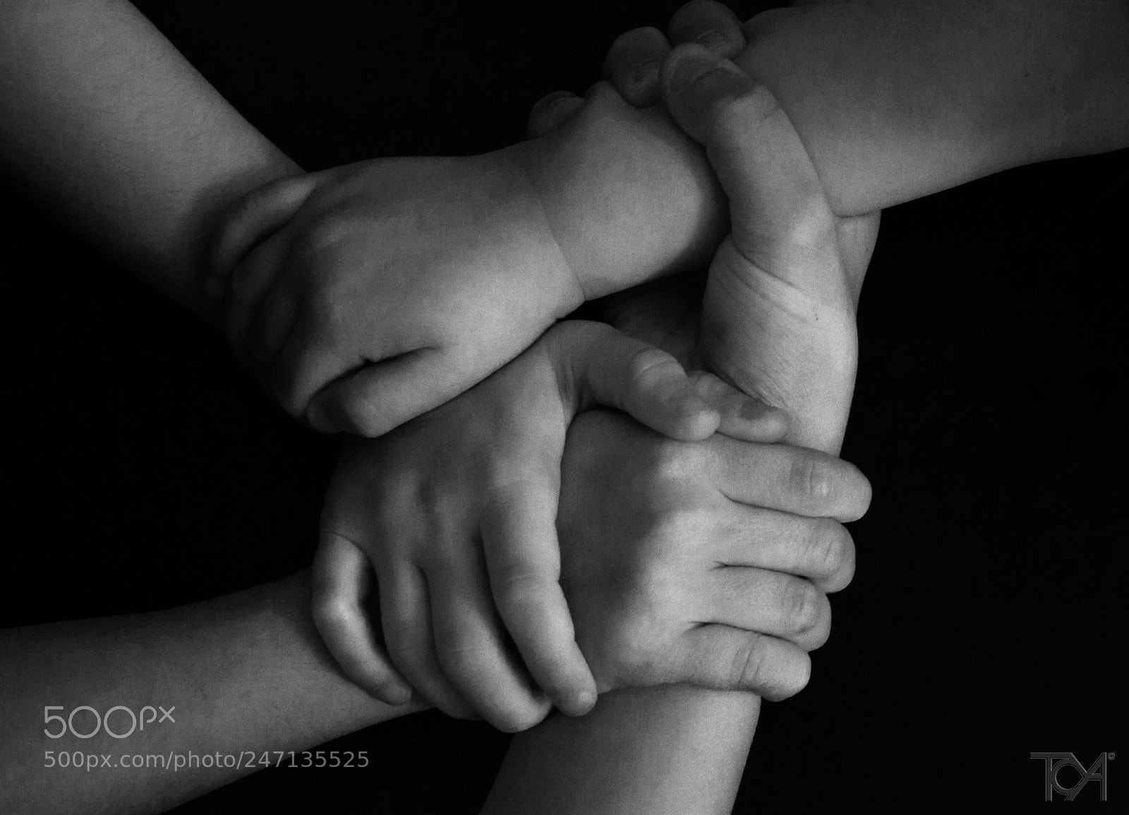 Nikon D3100 sample photo. A braccio fraterno photography