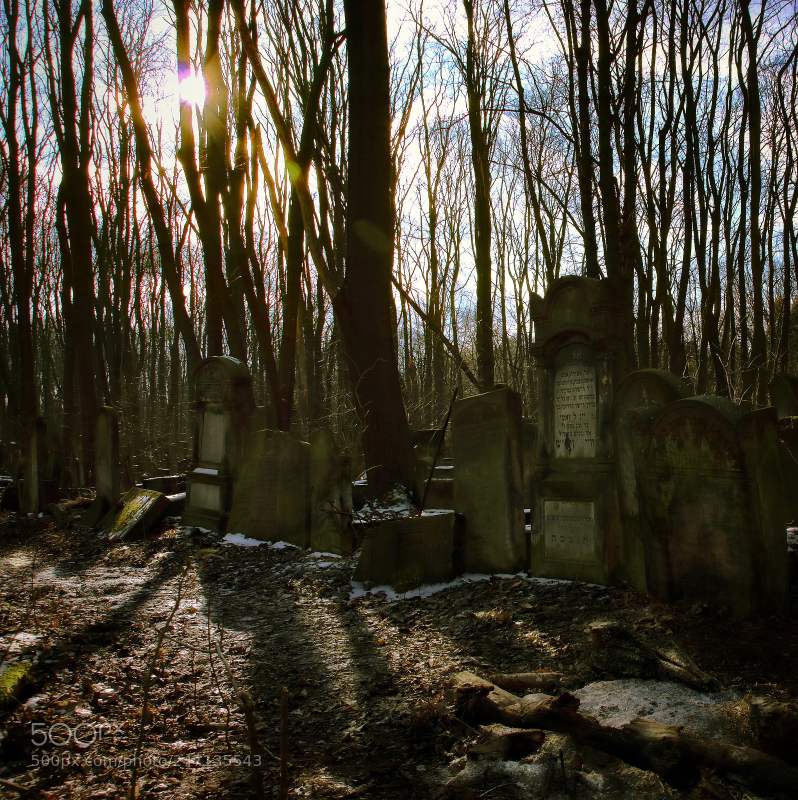 Canon EOS 760D (EOS Rebel T6s / EOS 8000D) sample photo. Jewish cementary photography