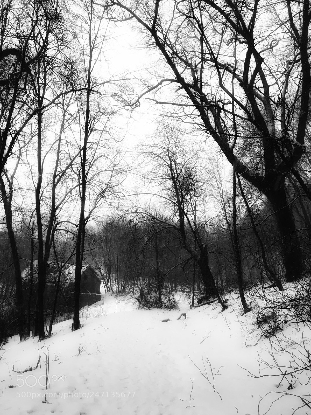 Apple iPhone 6s sample photo. Winter photography