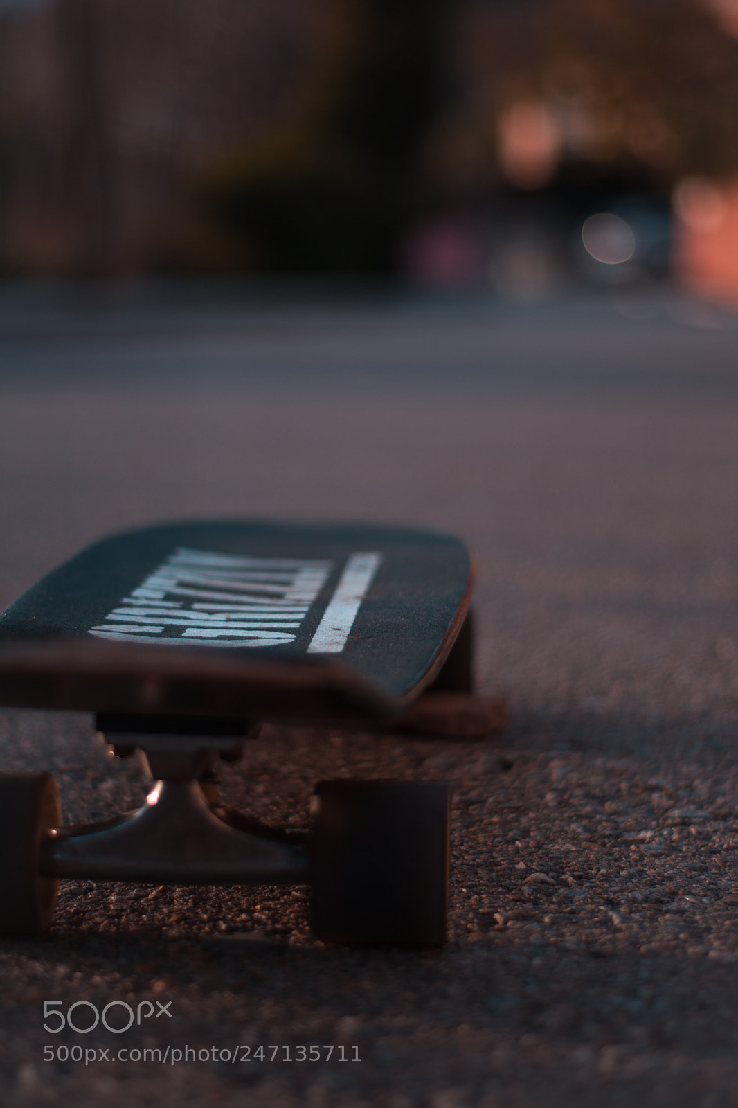 Nikon D5200 sample photo. Grizzlies photography