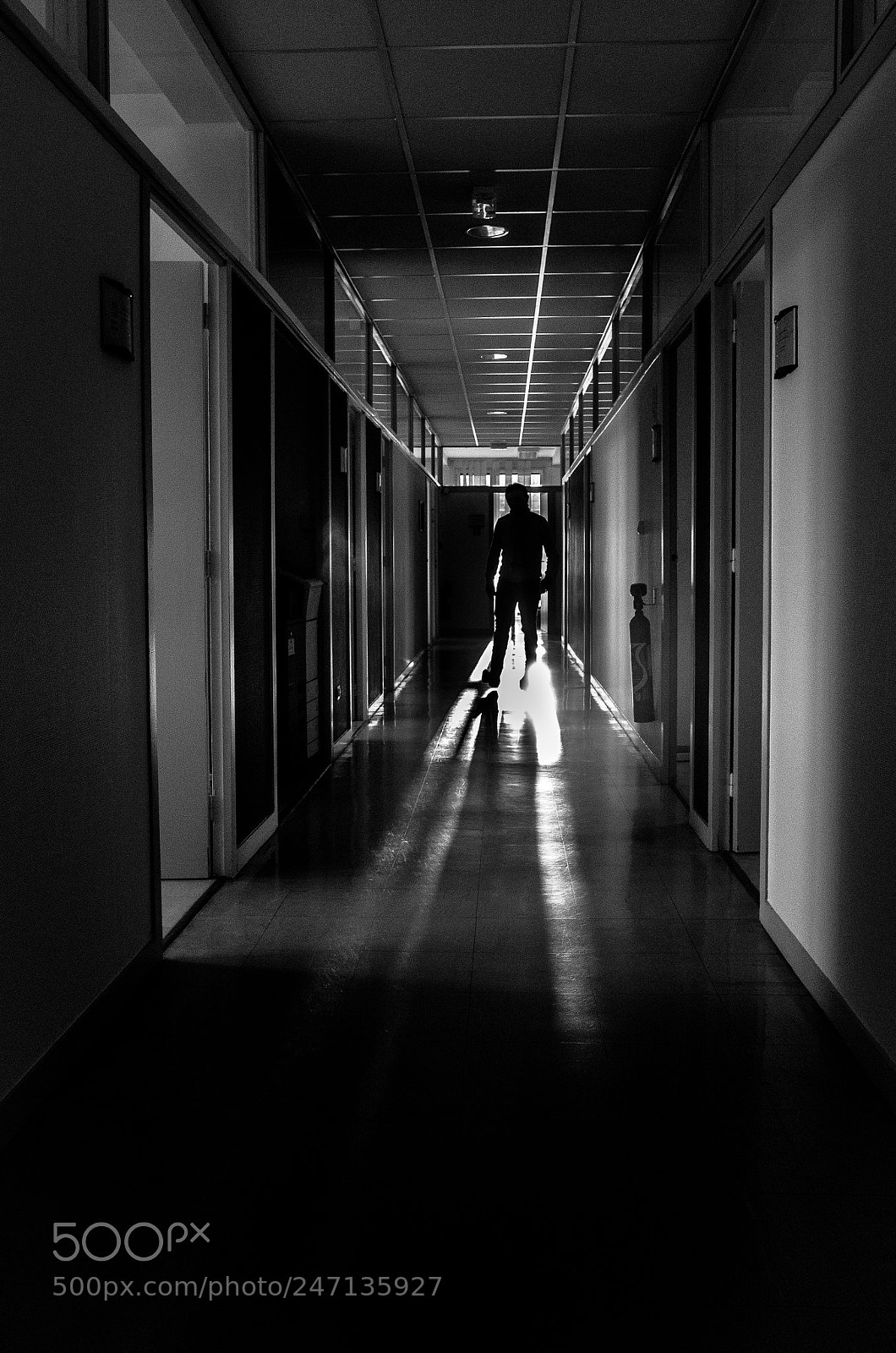 Ricoh GR II sample photo. Untitled photography