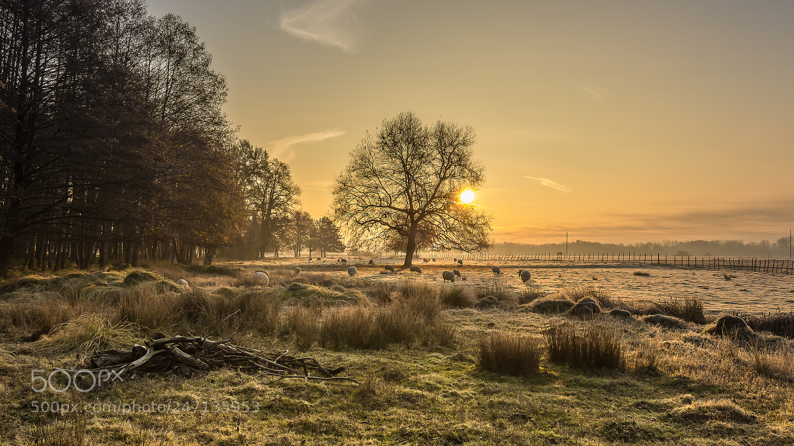 Nikon D7200 sample photo. Au petit matin sur photography