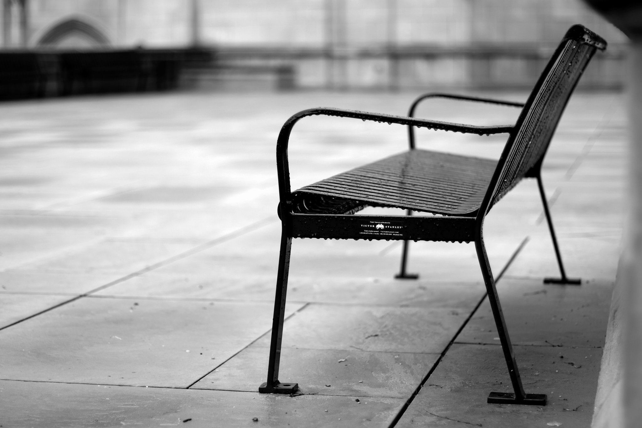 Canon EOS 80D + Canon EF 50mm F1.4 USM sample photo. Melt in the rain photography