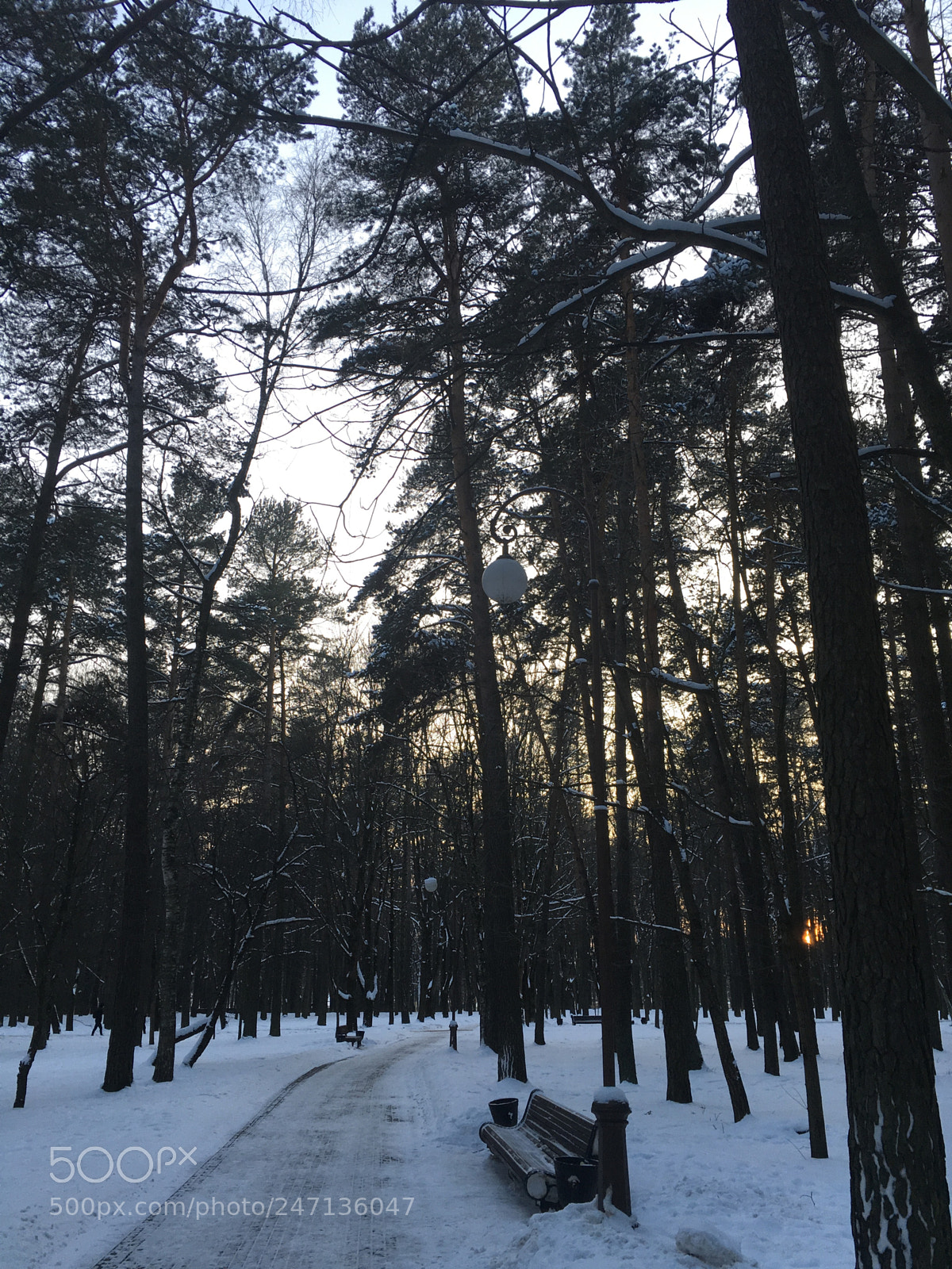 Apple iPad Pro sample photo. Minsk parks photography