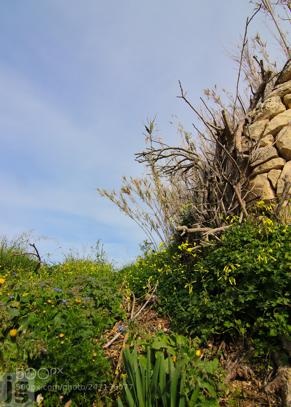 Canon EOS 77D (EOS 9000D / EOS 770D) sample photo. The path into the photography