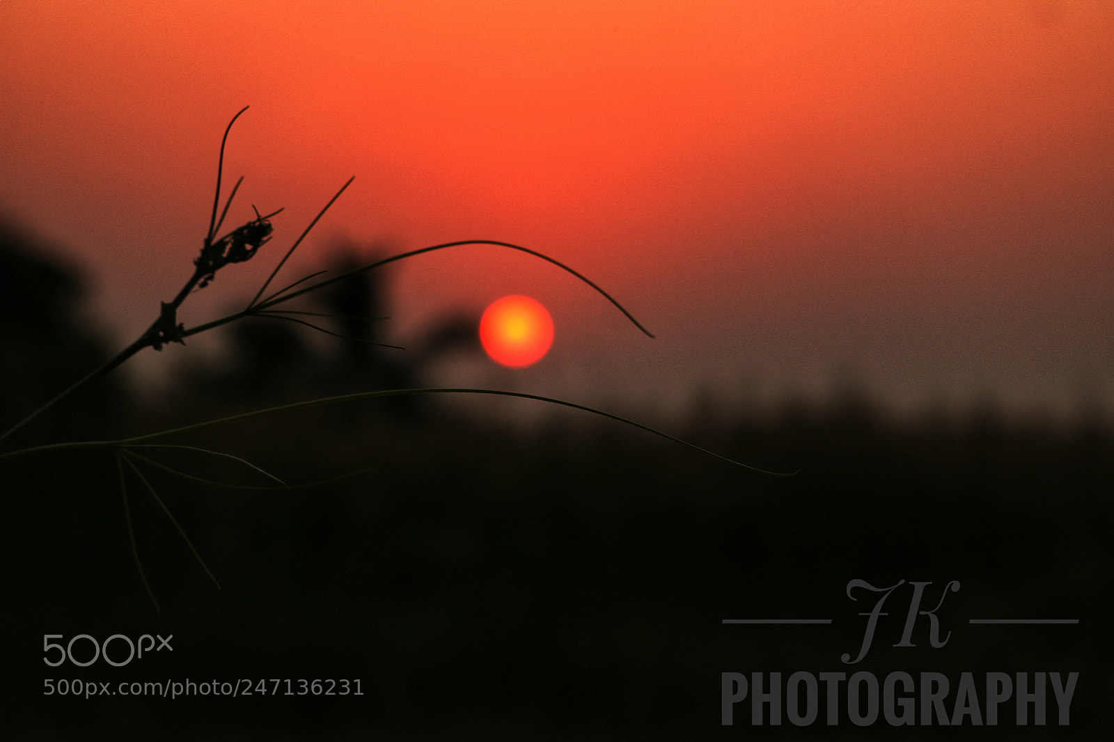 Canon EOS 760D (EOS Rebel T6s / EOS 8000D) sample photo. Sunset in red sky photography
