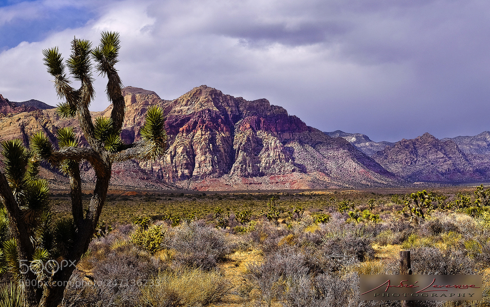 Fujifilm X-T10 sample photo. Red rock canyon nevada photography